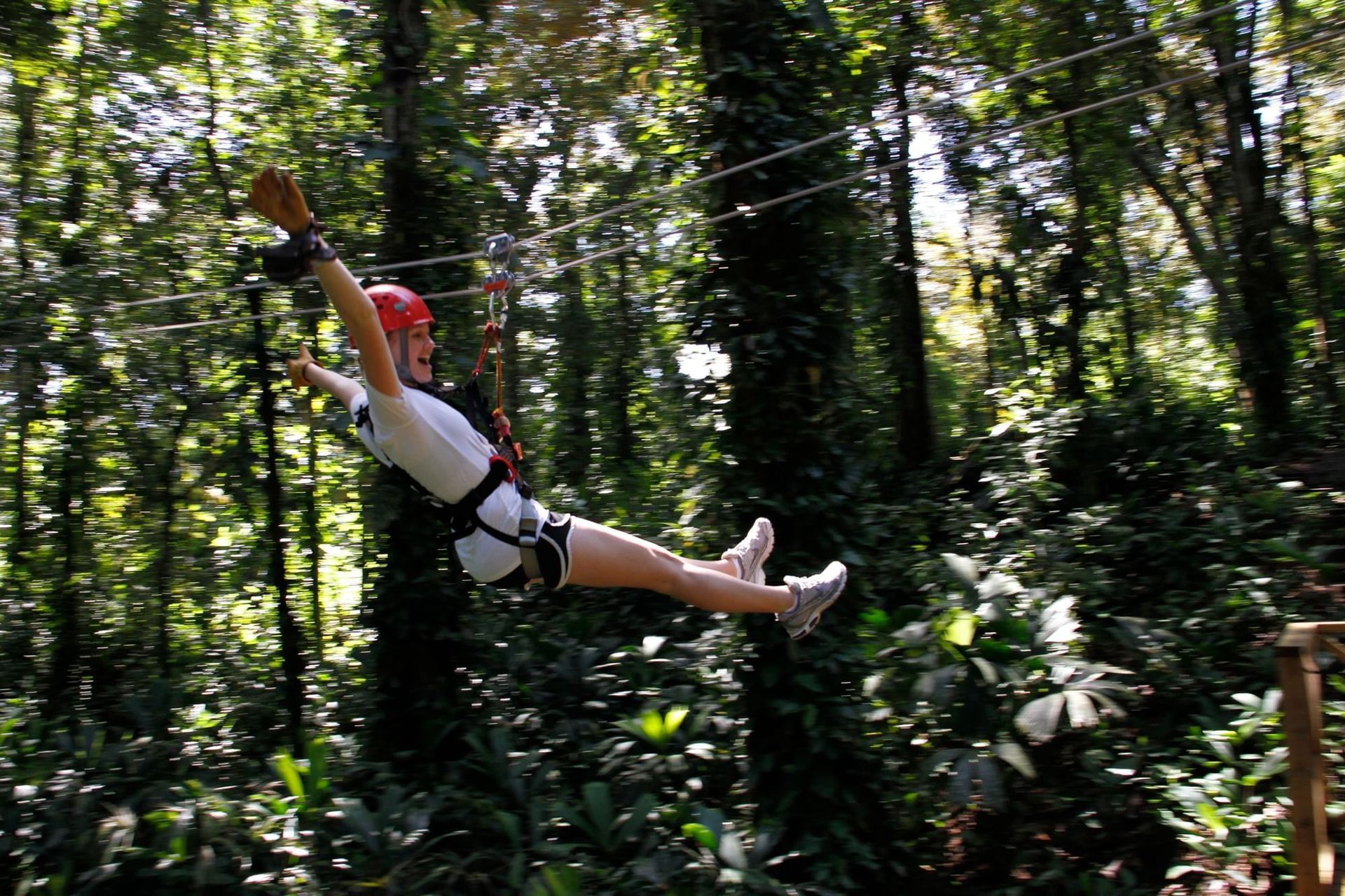 A person is flying through the air on a zip line in the woods.
