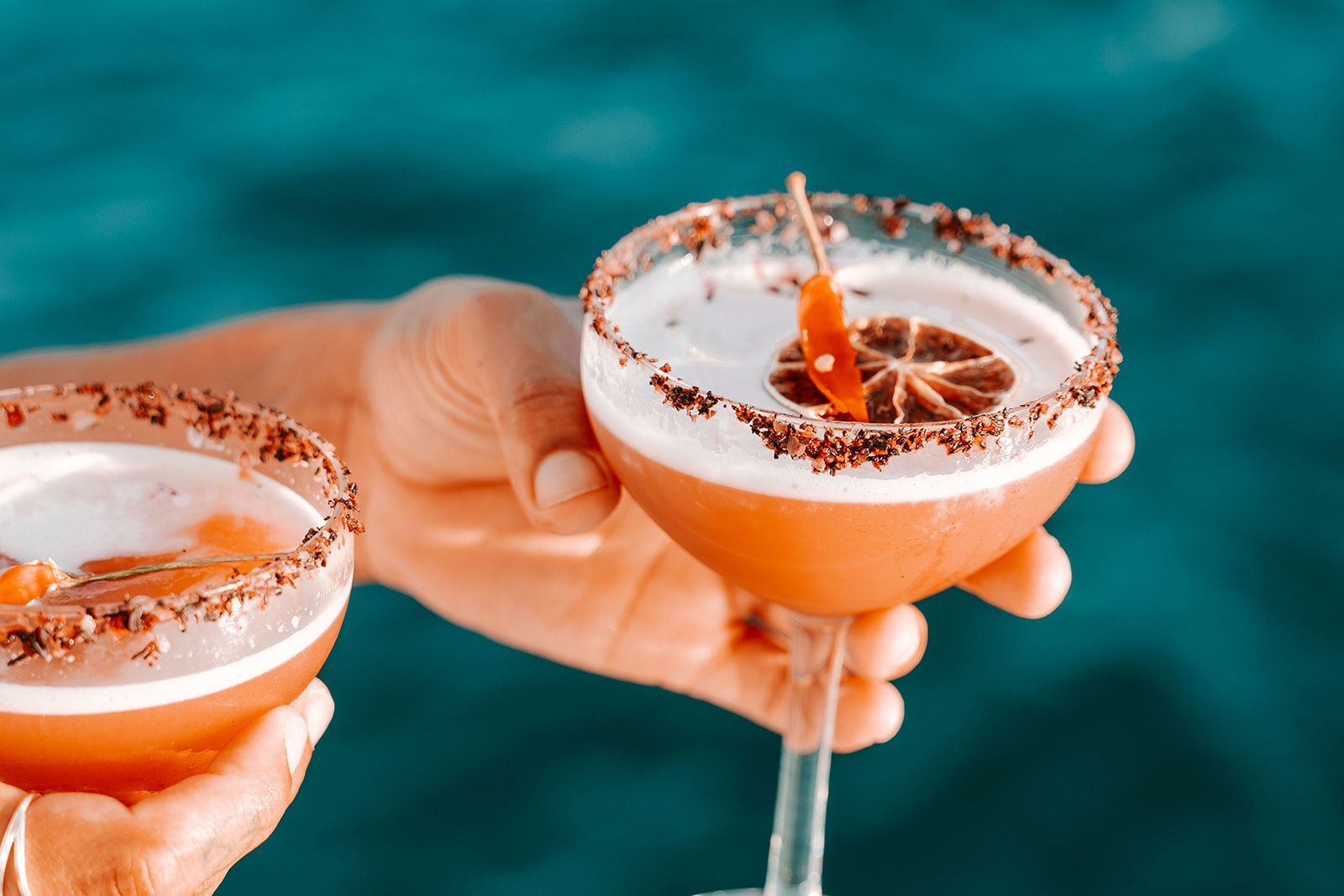 Saltwater Eco Tours, Mooloolaba Cultural Bushtucker Cruise, Chilli Margarita Native Food Experience