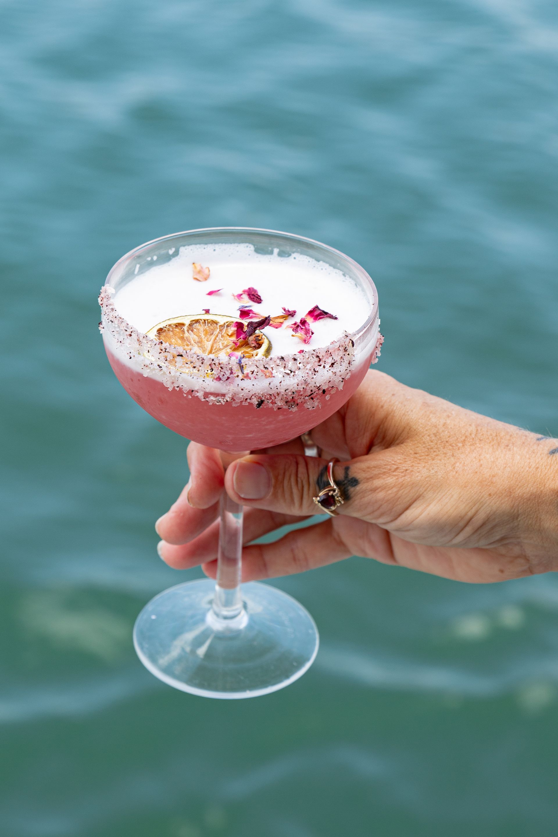 Saltwater Eco Tours Private Charters, Mooloolaba Private Charters, Chilli Margarita