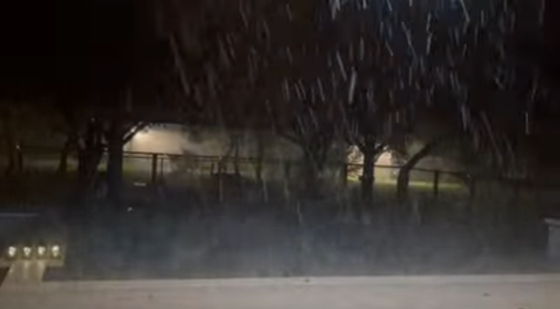 It is raining outside at night with trees in the background.