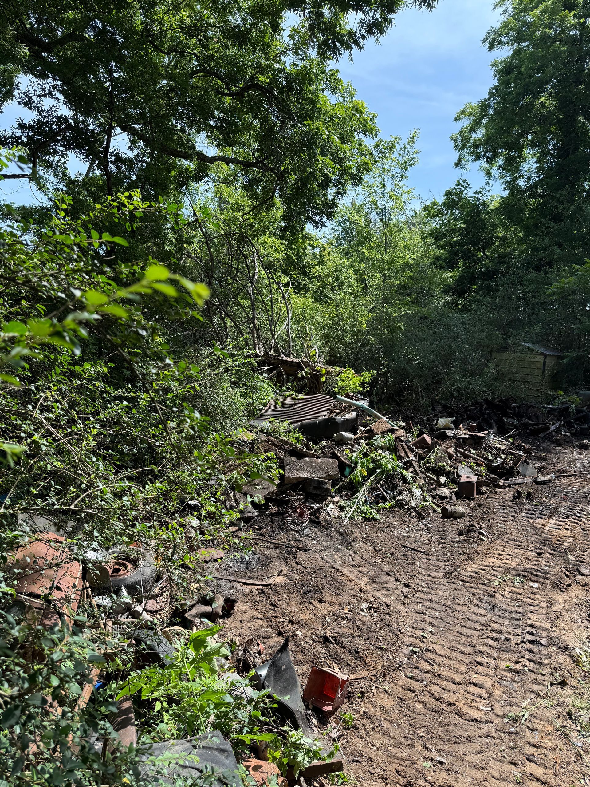 Pile of debris and dirt path in a wooded area under a blue sky.