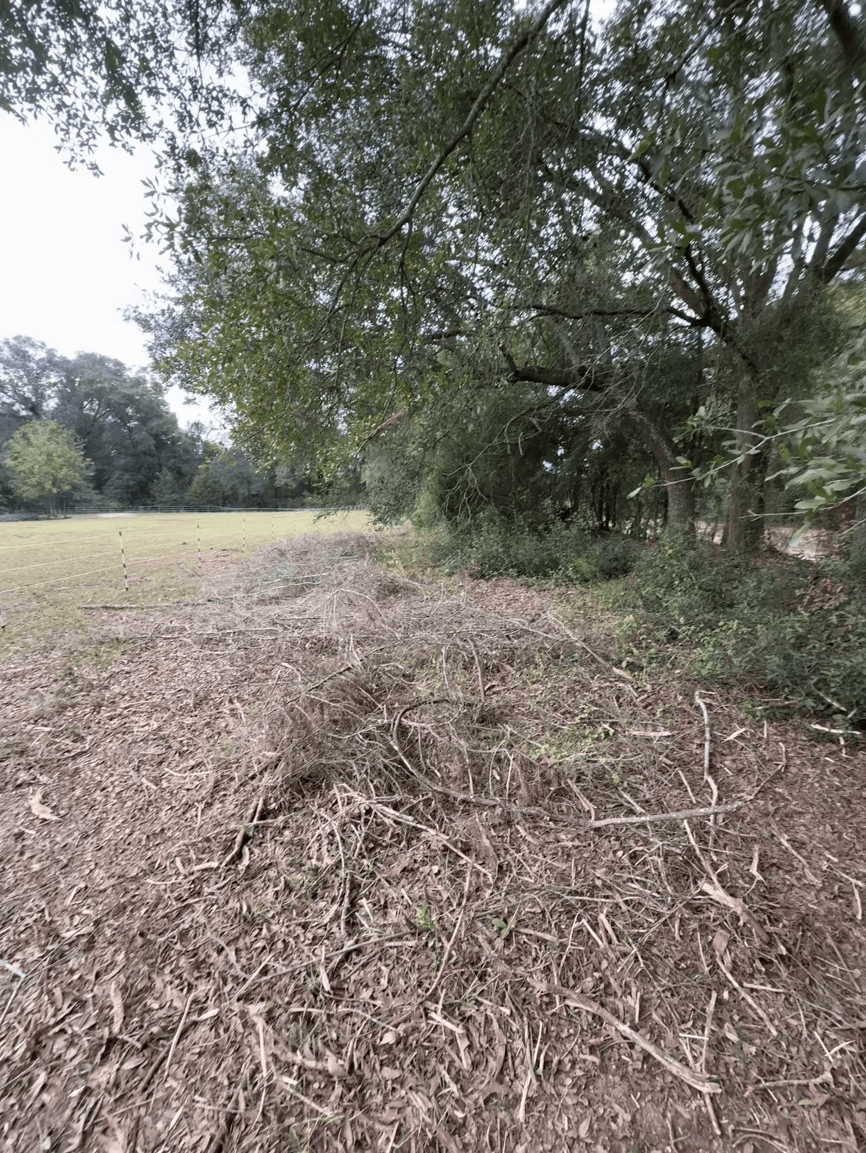 Excavator moving tree debris, kicking up dust, on a hillside clearing.