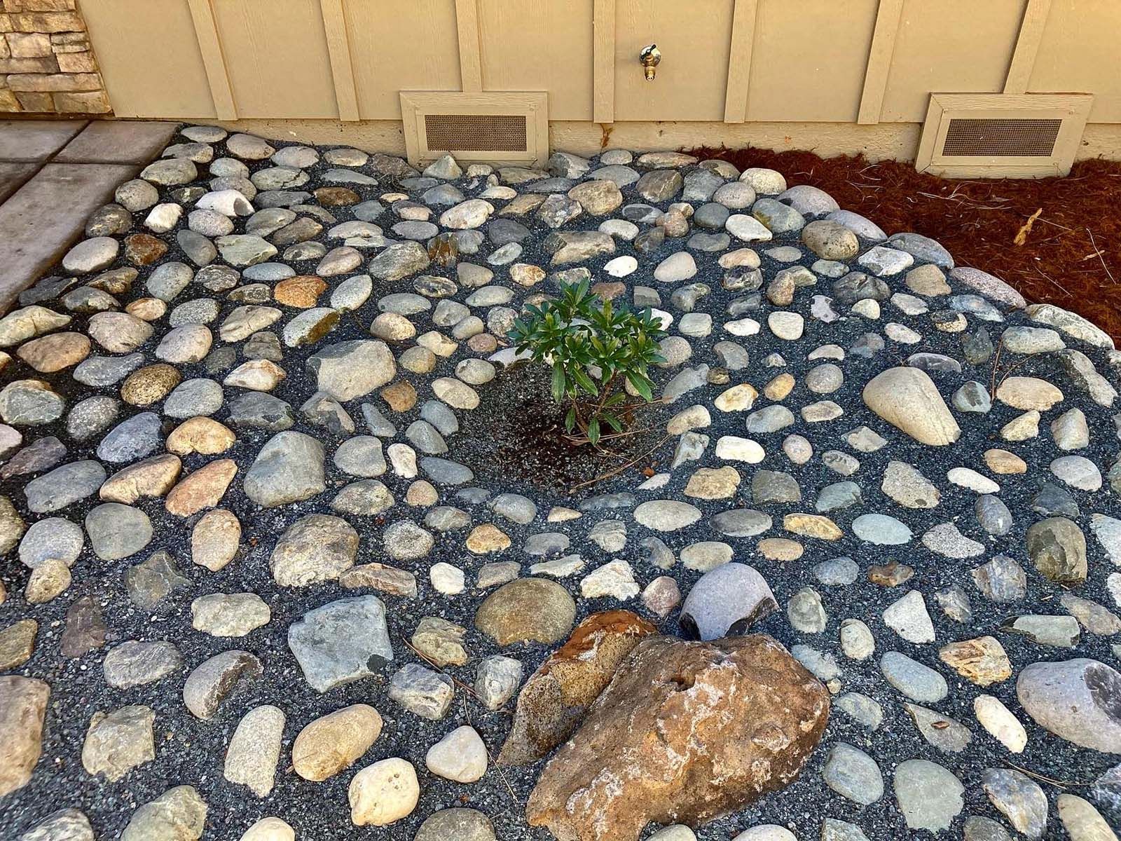 A small plant surrounded by large, rounded decorative garden stones set in dark gravel near a house foundation.