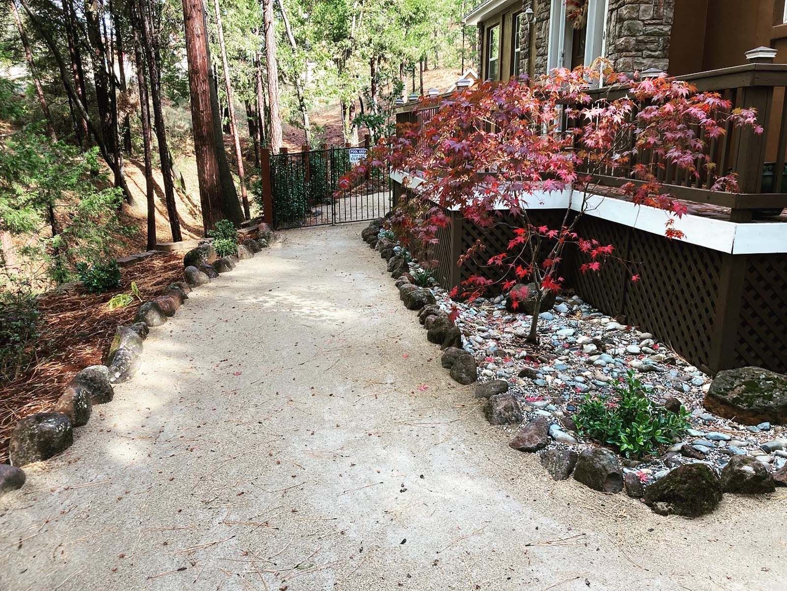 A gravel path leads toward a metal gate beside a wooden deck lined with a Japanese maple and light-colored stones.