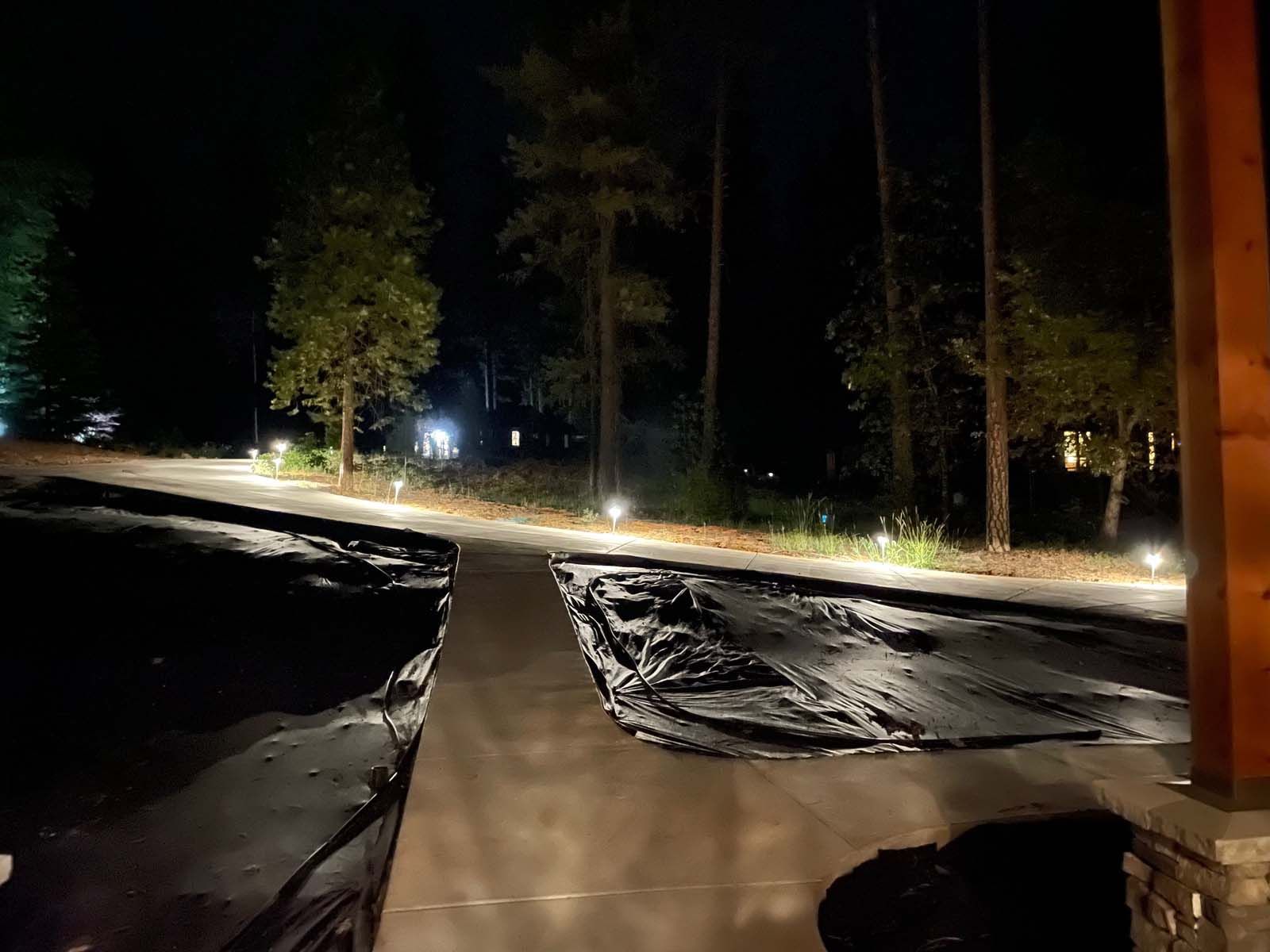 A paved walkway leads toward a dark wooded area at night, illuminated by a series of low-profile landscape lights.