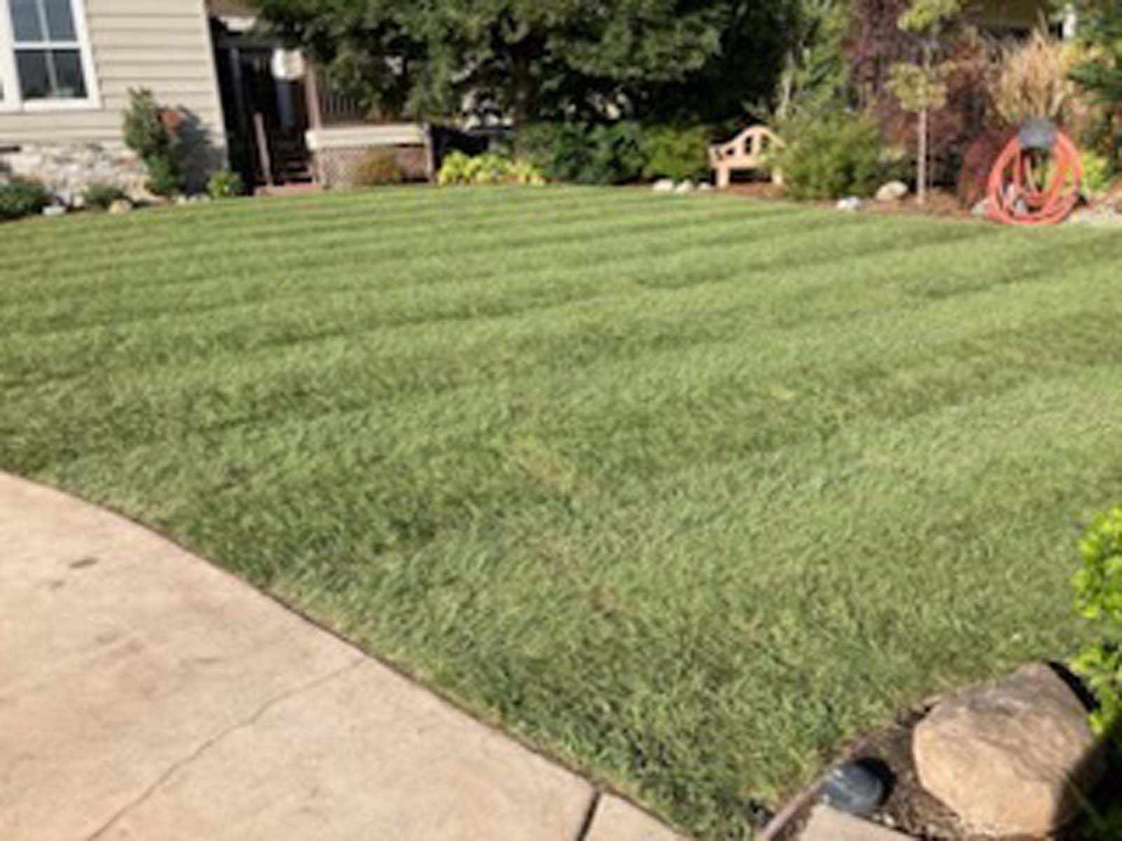 A neatly mown green lawn with visible grass stripes, bordered by a concrete walkway and a residential house in the back.