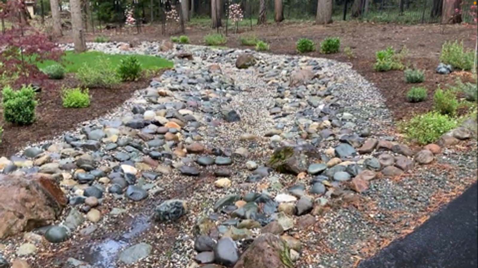 A dry creek bed made of various sized gray and brown rocks winds through a landscaped garden with shrubs and mulch.