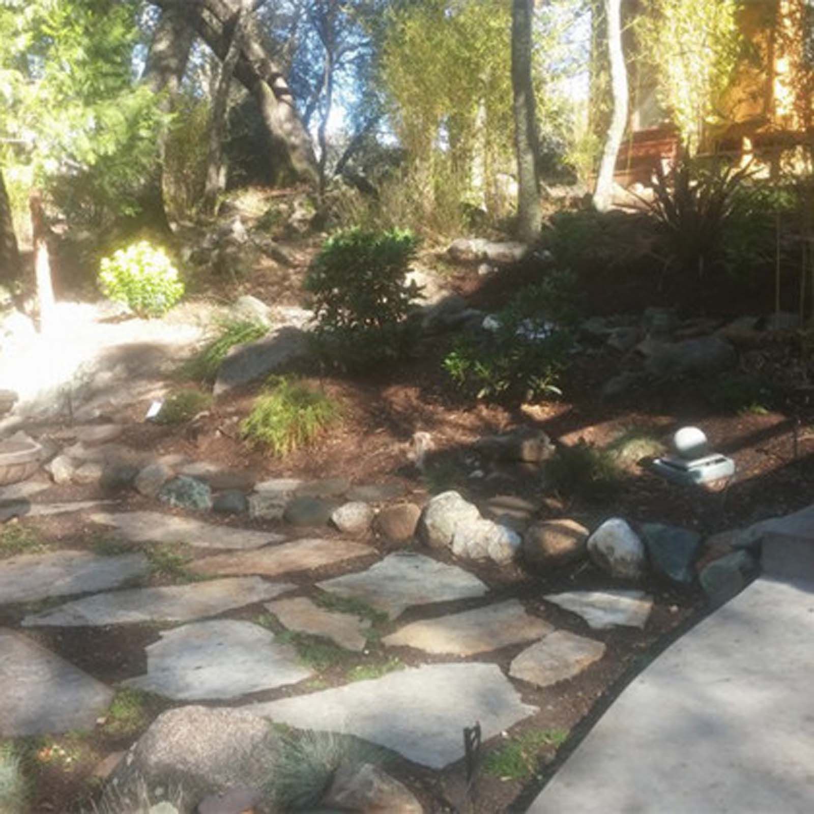 A landscaped yard with a flagstone path, garden beds, various shrubs, and scattered rocks under dappled sunlight.