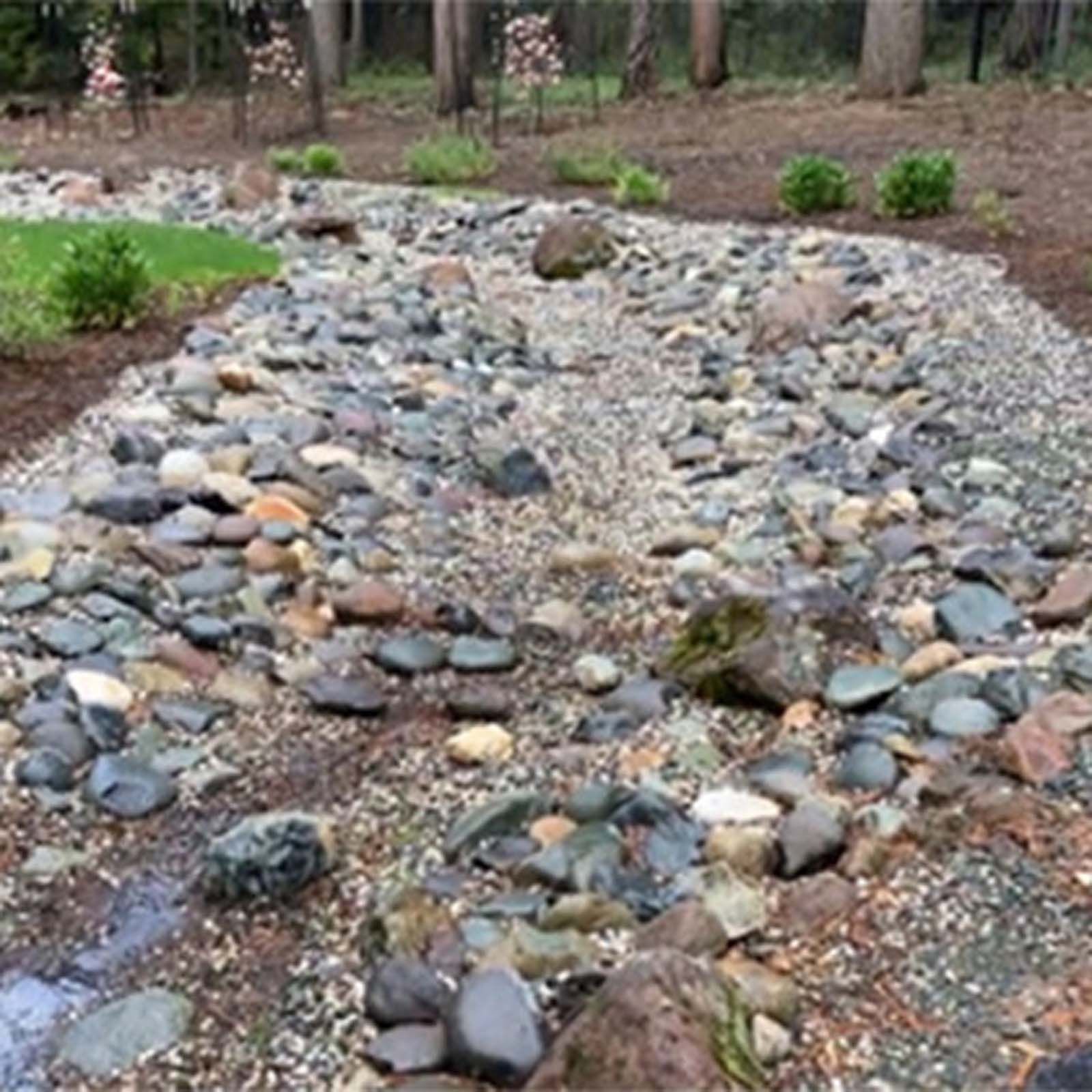 A stone-lined dry creek bed curves through a landscaped backyard with pine trees and shrubs in the background.