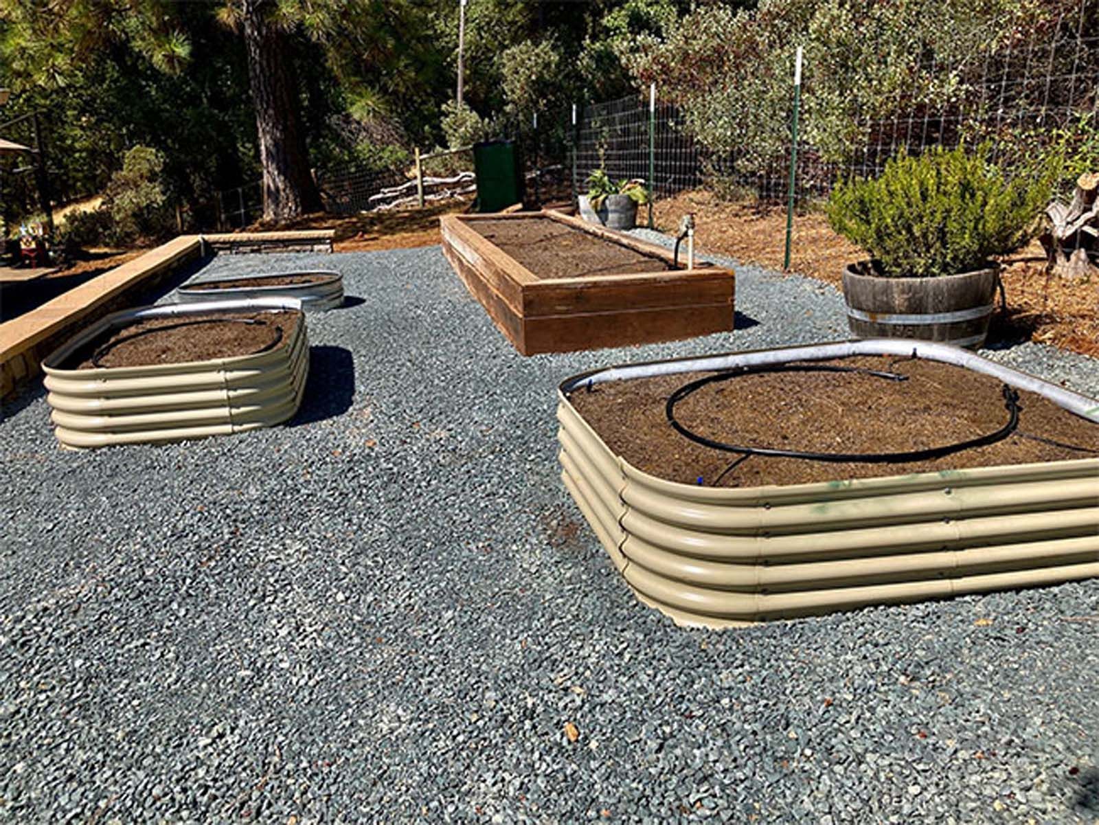 Raised garden beds in a gravel yard, featuring metal bins, a wooden trough, and a potted plant under trees.