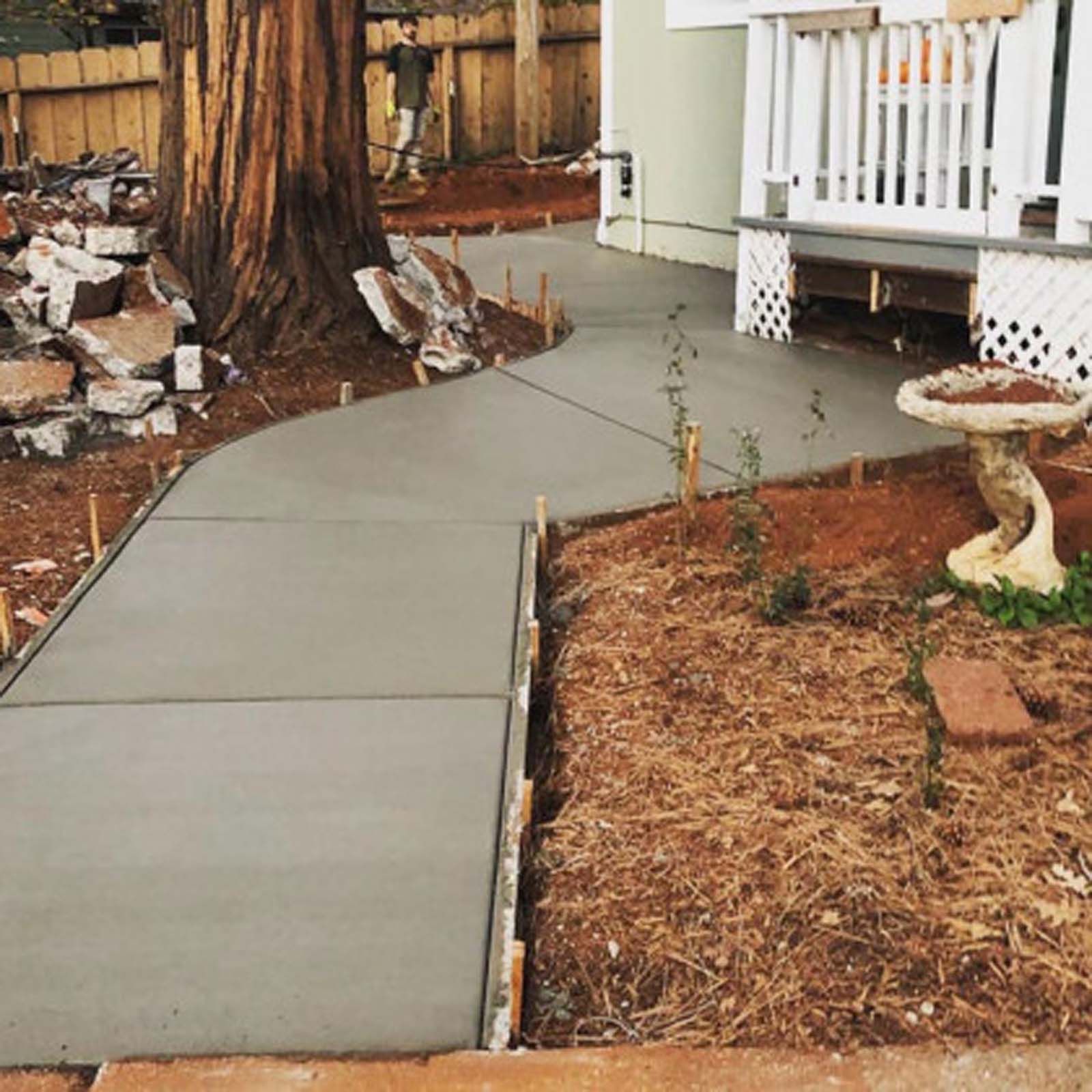 A freshly poured concrete sidewalk curves alongside a house and a large tree with a birdbath in the yard.