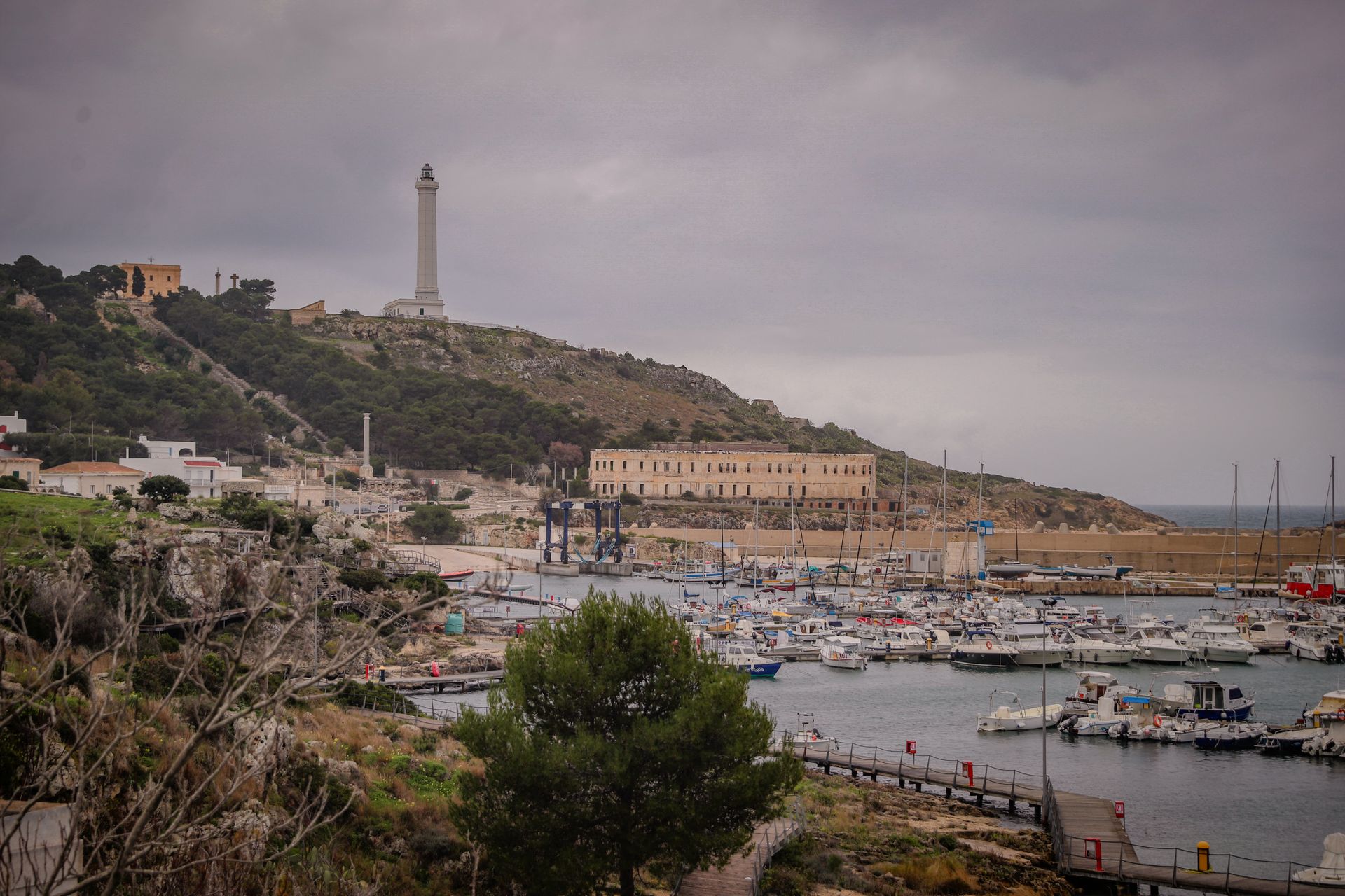The long climb up to the lighthouse was worth it for the breathtaking view from the top. The greenery and Christmas decorations along the way added to the beauty of the journey, despite the sadness of encountering dead animals.