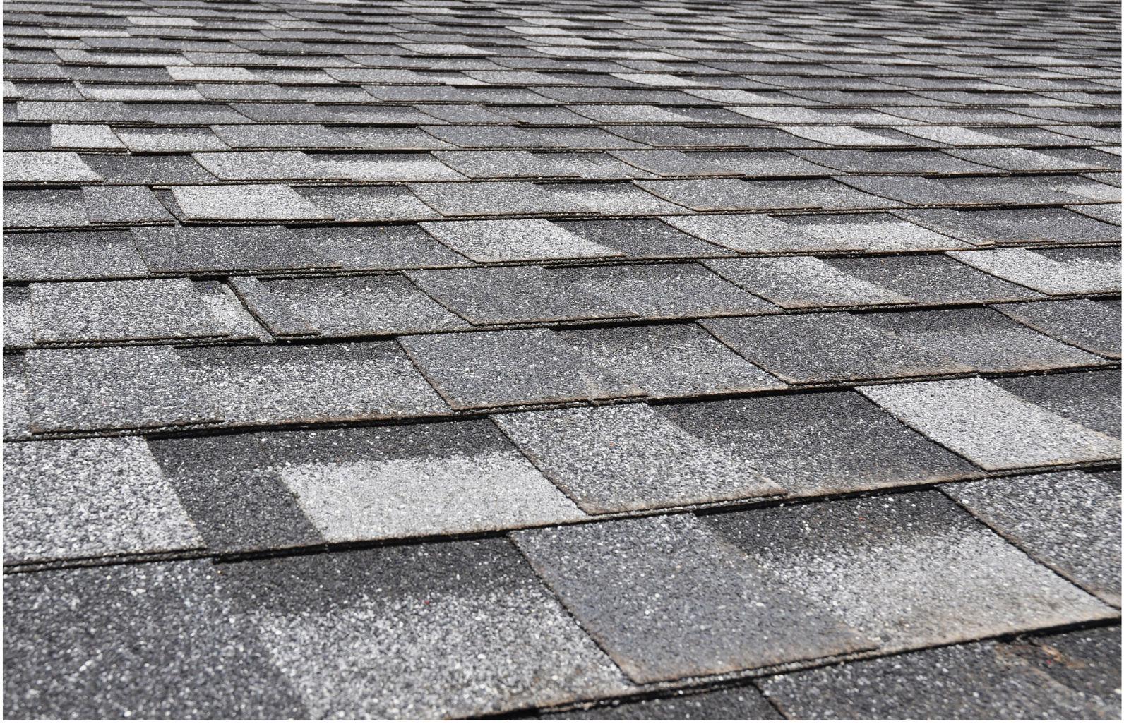 that looks swell! tile roof replacement port charlotte, fl