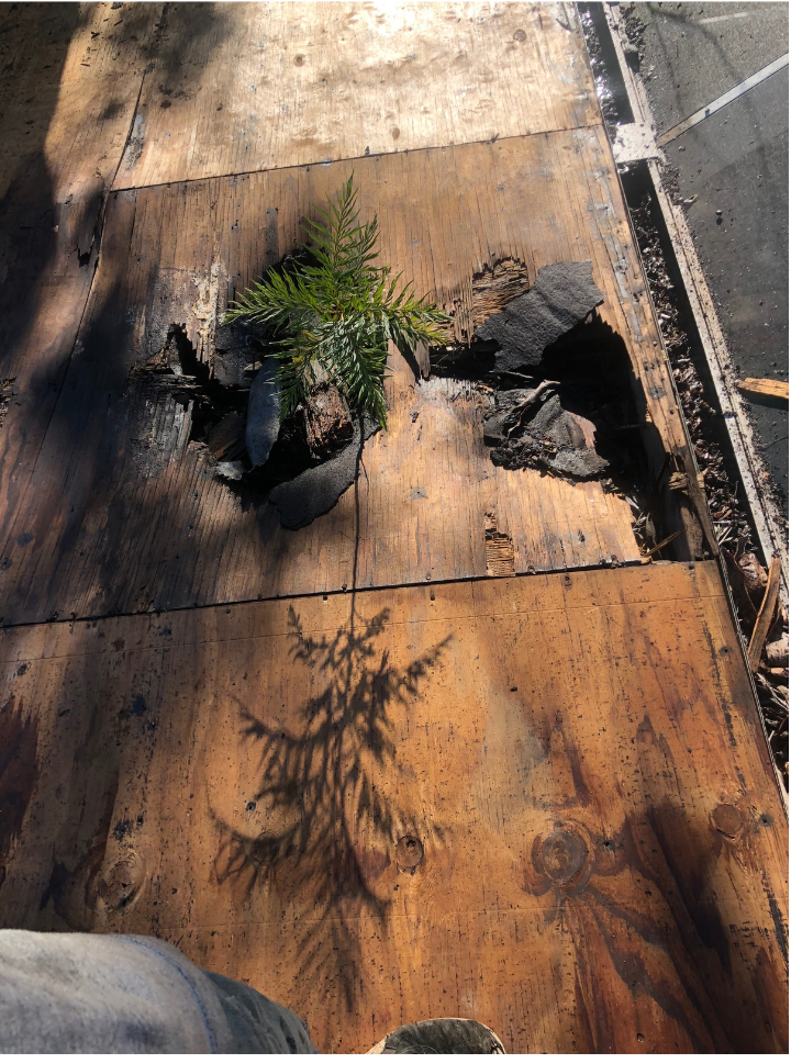 This is not what it should look like roof repair port charlotte fl