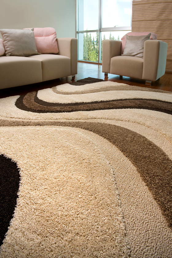 A living room with a couch and chairs and a rug