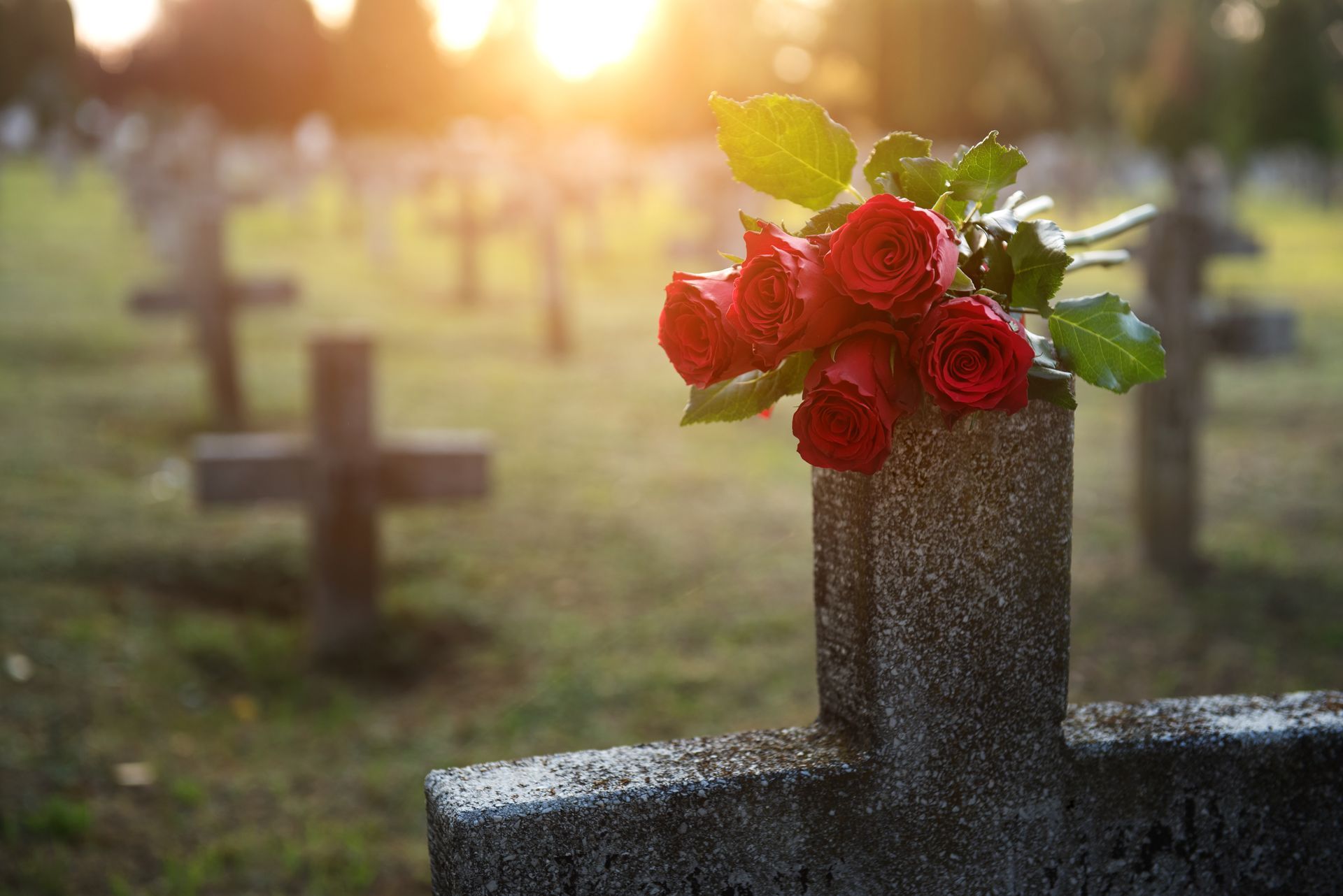 A bouquet of red roses rests on a stone cross in a cemetery at sunset, with other grave markers visible in the background.