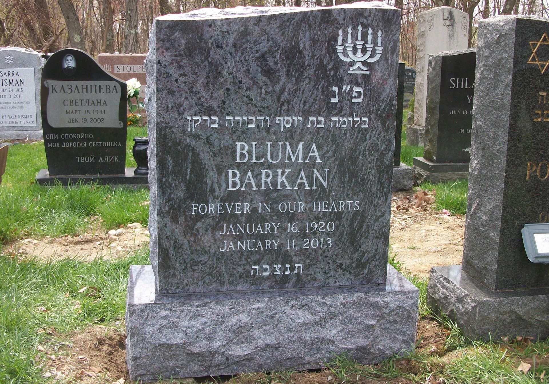 A black granite headstone for Bluma Barkan with a menorah carving, located in a grassy cemetery.