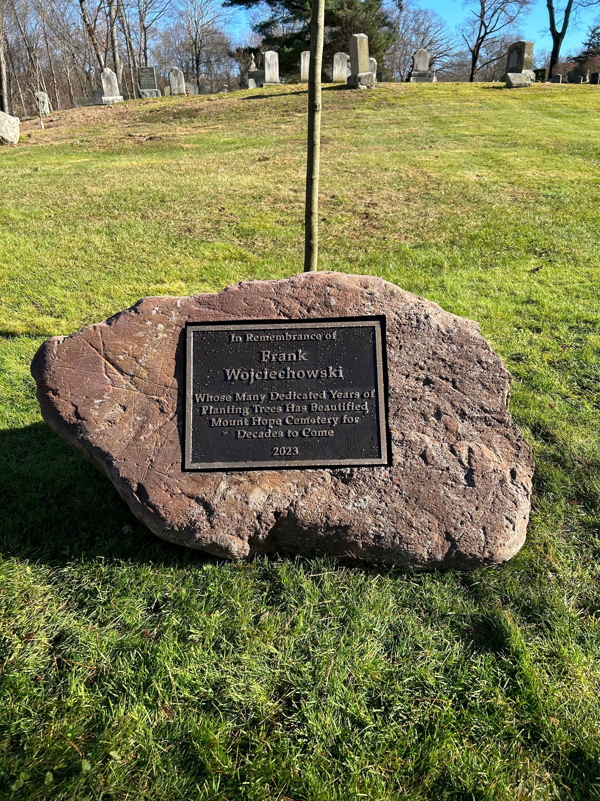 A commemorative plaque mounted on a large boulder in a sunny cemetery.