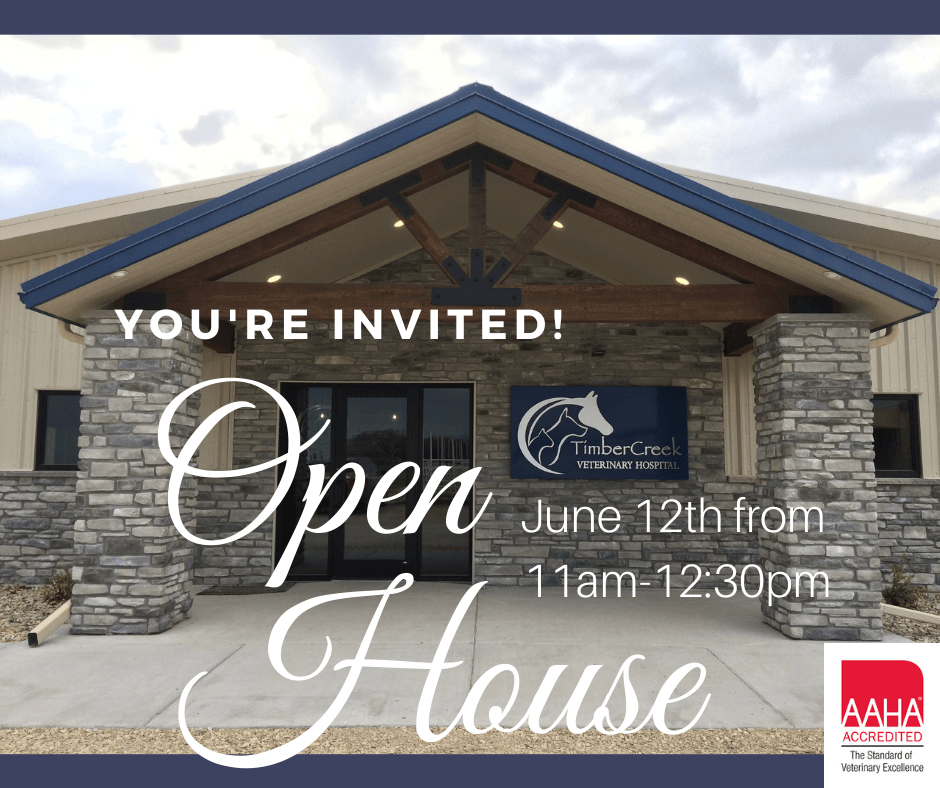 TimberCreek Veterinary Hospital Manhattan, KS Veterinarian