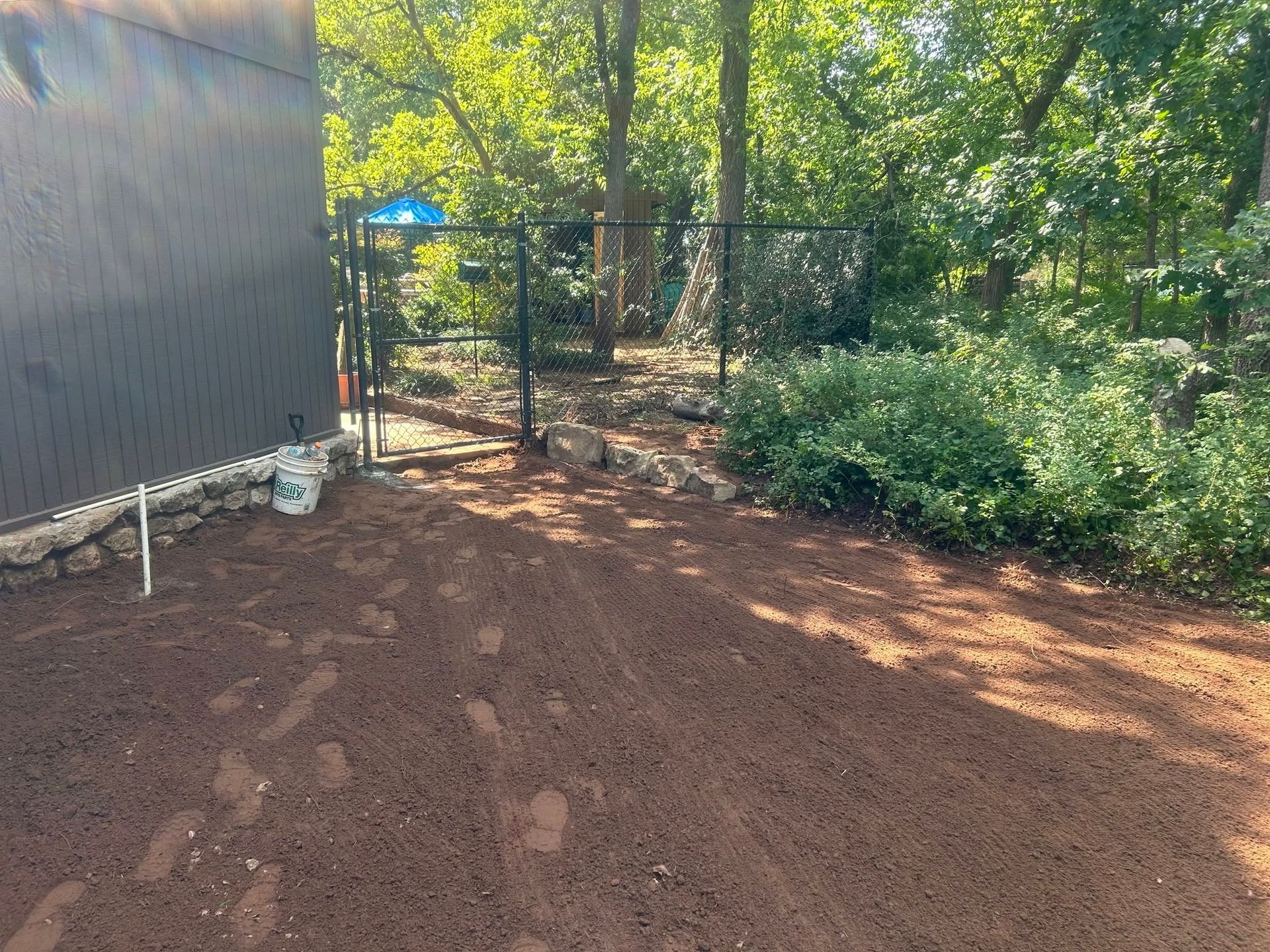 Backyard with red dirt ground, a black fence, and green trees and shrubs in bright sunlight
