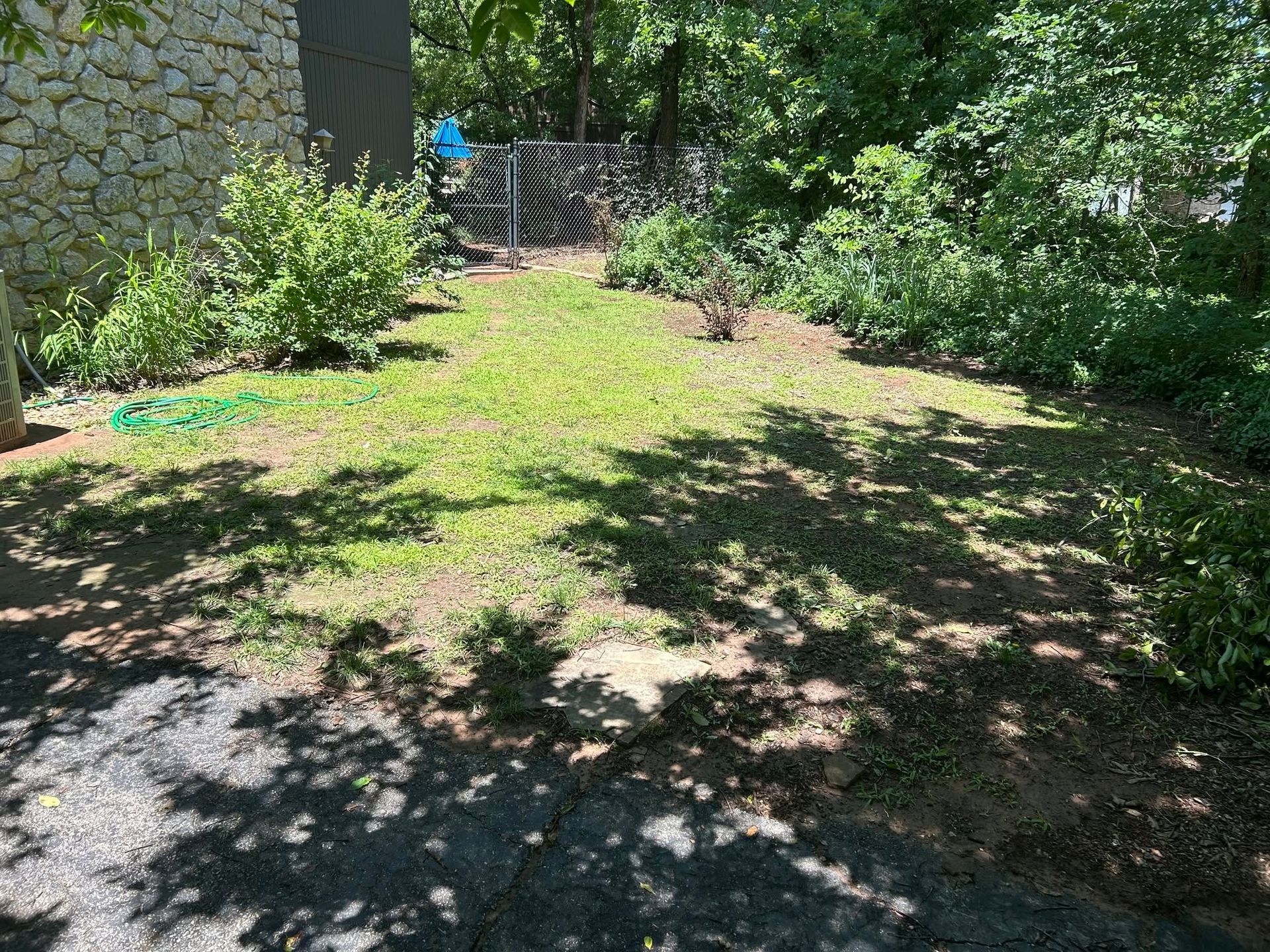 Sunny backyard with grass, trees, and a stone wall beside a house entrance
