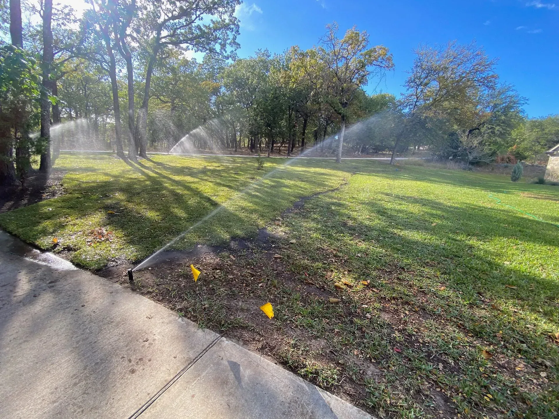 Sprinklers watering a grassy park with trees and a sidewalk under a blue sky