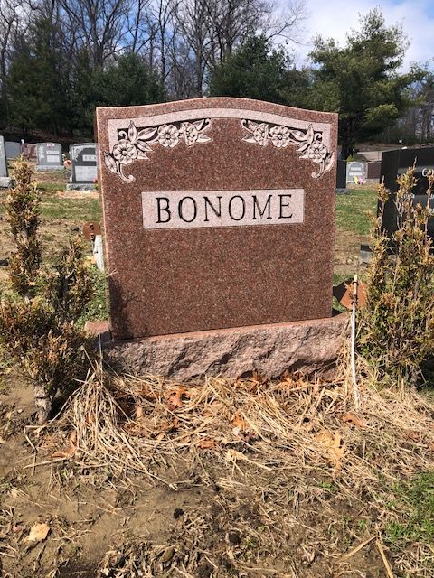 Brown granite gravestone engraved “BONOME” in a cemetery, with grass and trees behind it