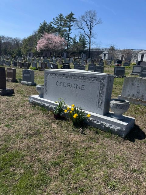 Gravestone marked “CEDRONE” in a cemetery, with flowers and other headstones under a blue sky.