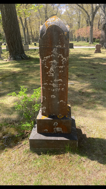 Weathered rust-colored stone monument on a grassy park lawn with trees in the background