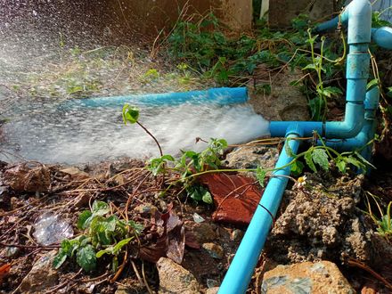 Blue pipes spraying water in a garden or yard, with wet soil and plants nearby