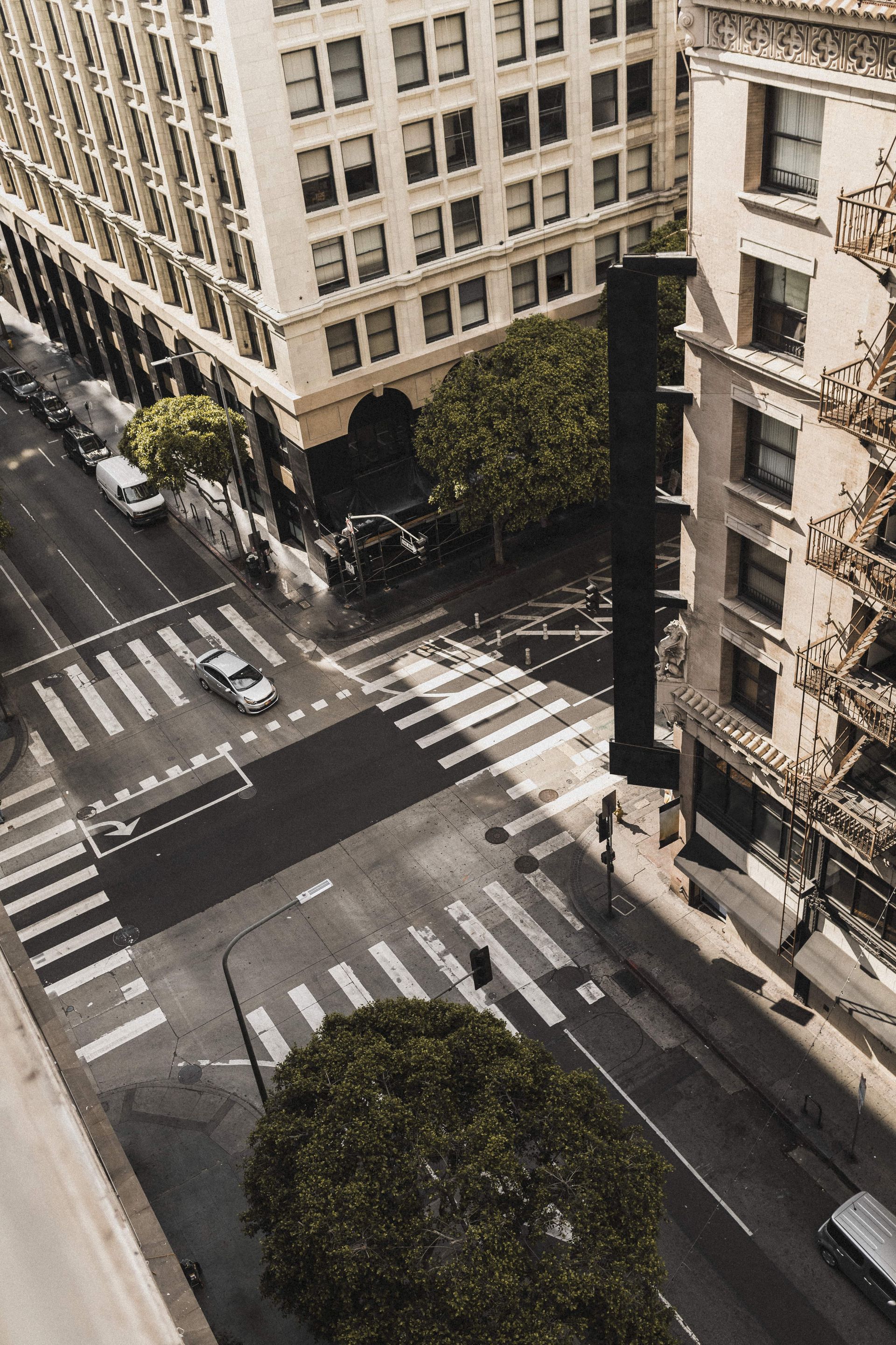 City street intersection with crosswalks, buildings, cars, and a tree in view.