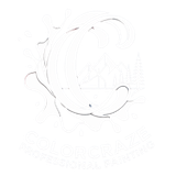 ColorCraze logo