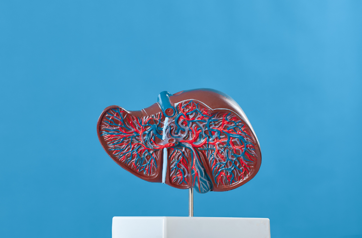 Fatty Liver Disease