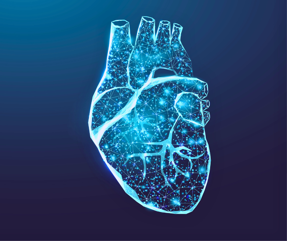 A low poly illustration of a human heart on a blue background.
