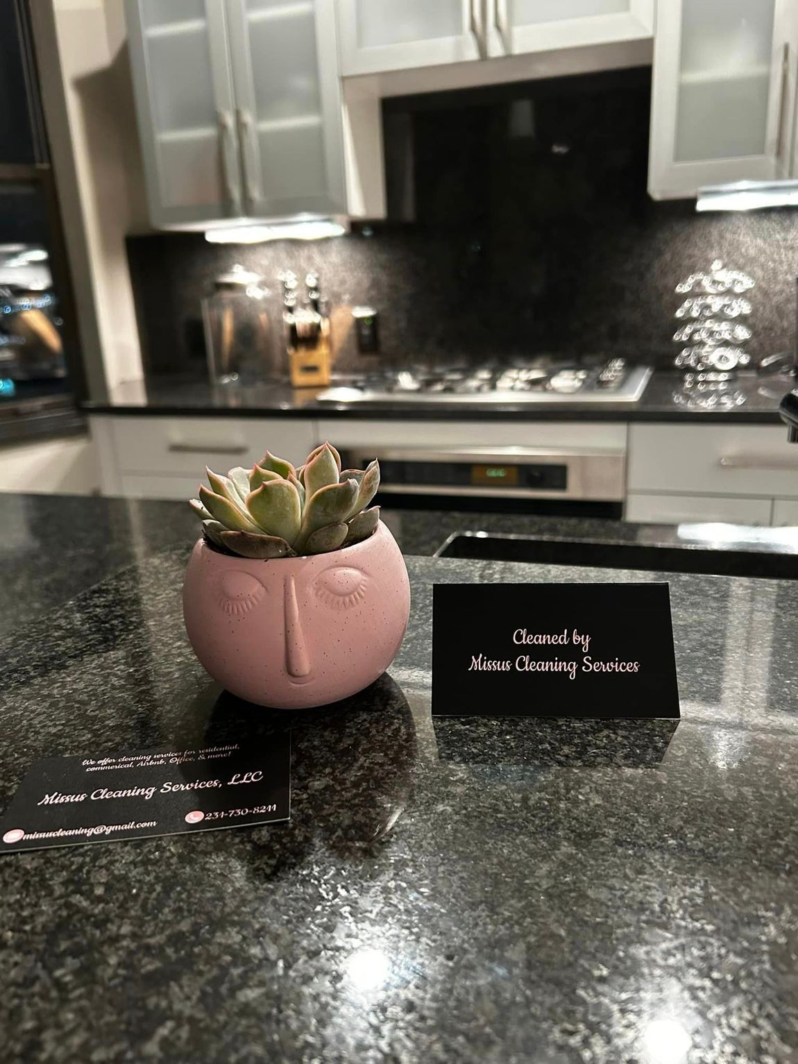 Pink succulent in a small pot on a black granite kitchen island with two business cards.