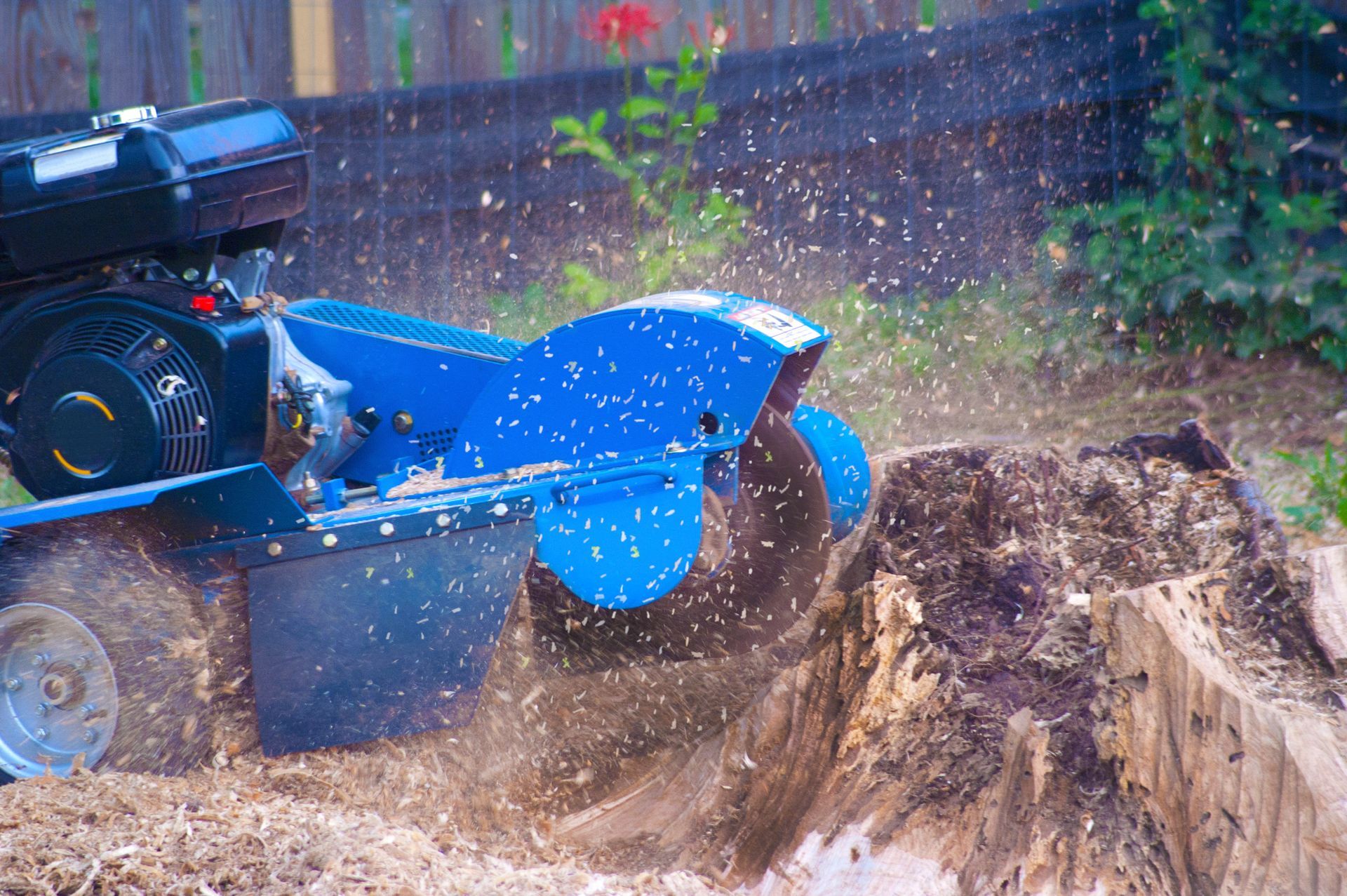 Stump removal - Moreno Valley, CA - Lopez Tree Maintenance Inc.