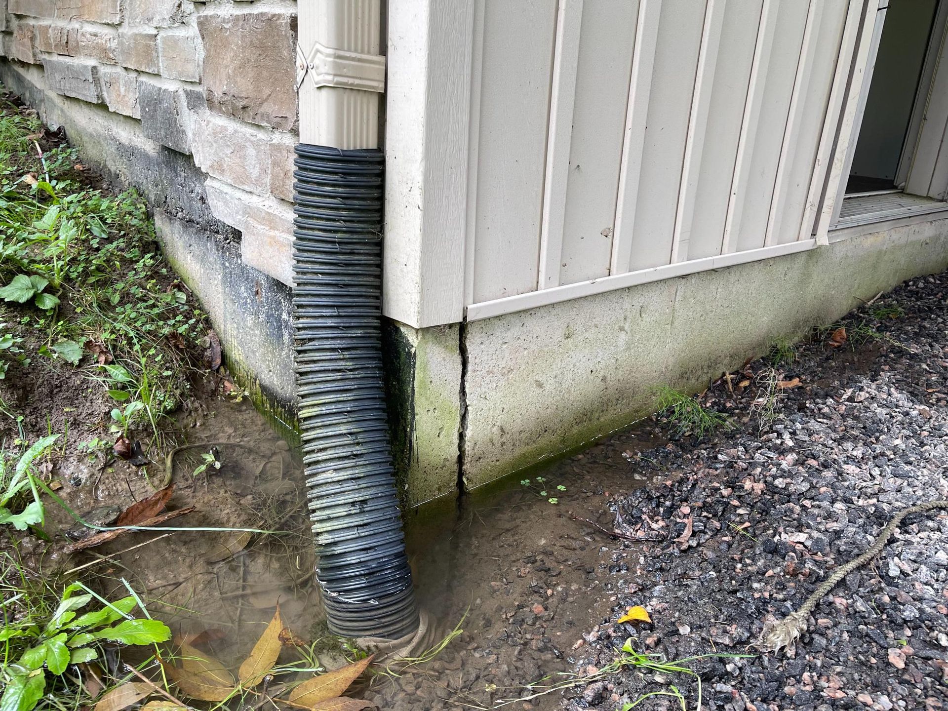 Crack in foundation
