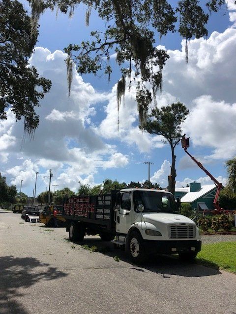 Tree trimming: truck on road, person in lift pruning a tree under a cloudy sky.