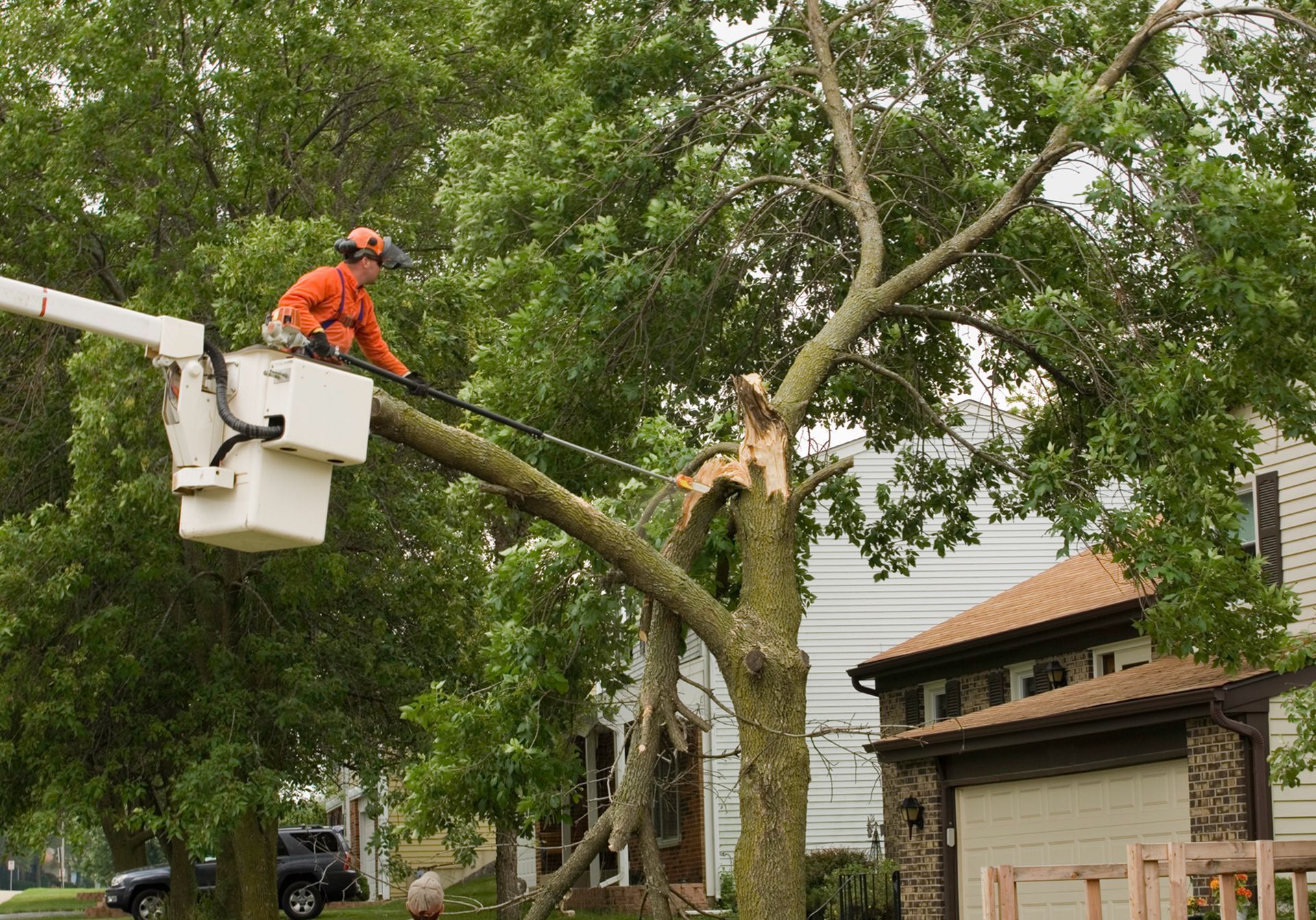 Tree expert safely removing a storm-damaged tree. Tree expert safely removing a storm-damaged tree.