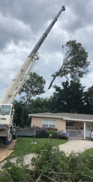 Crane removing a tree branch near a house on a cloudy day.