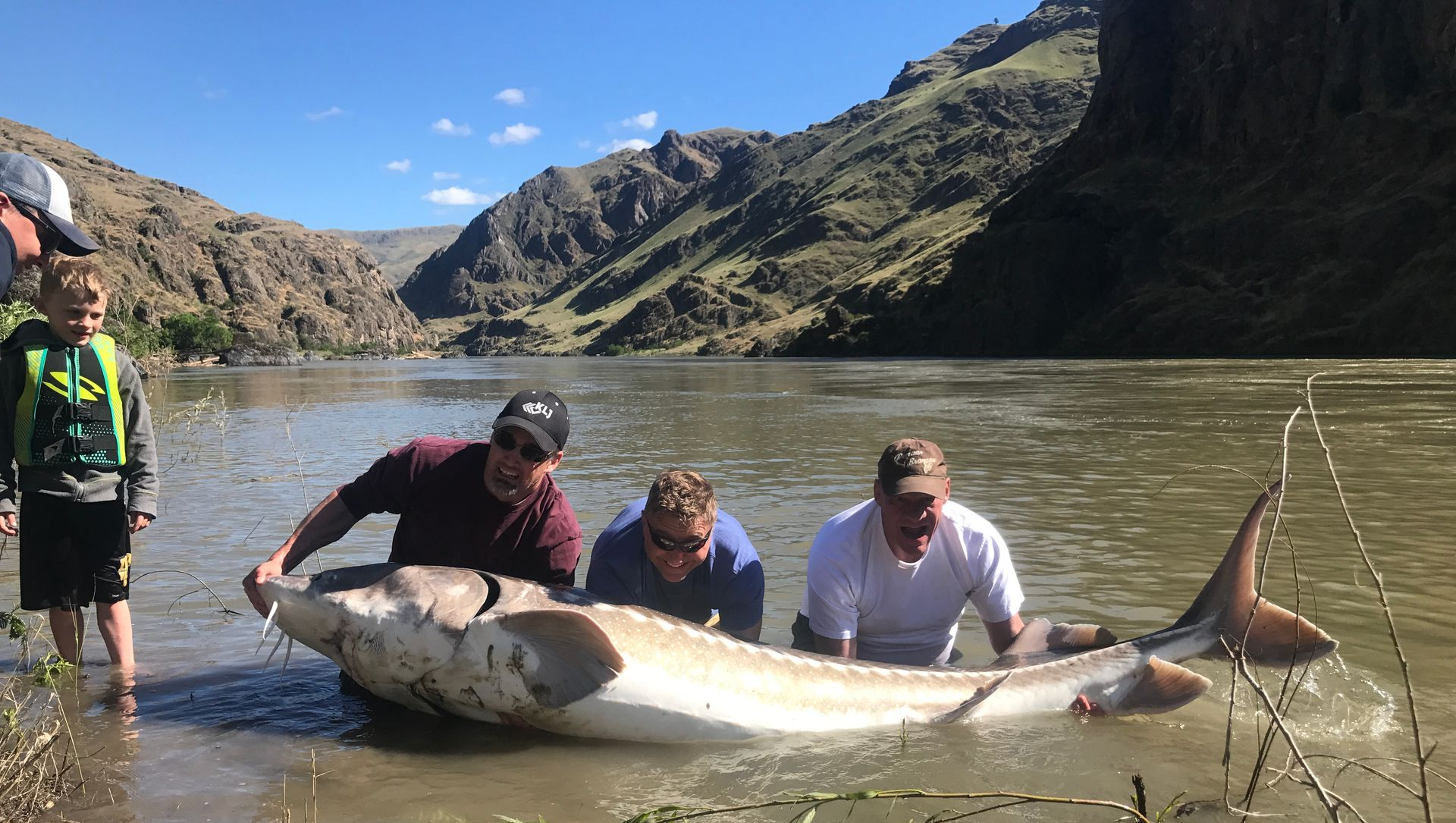 spring sturgeon fishing guide ID