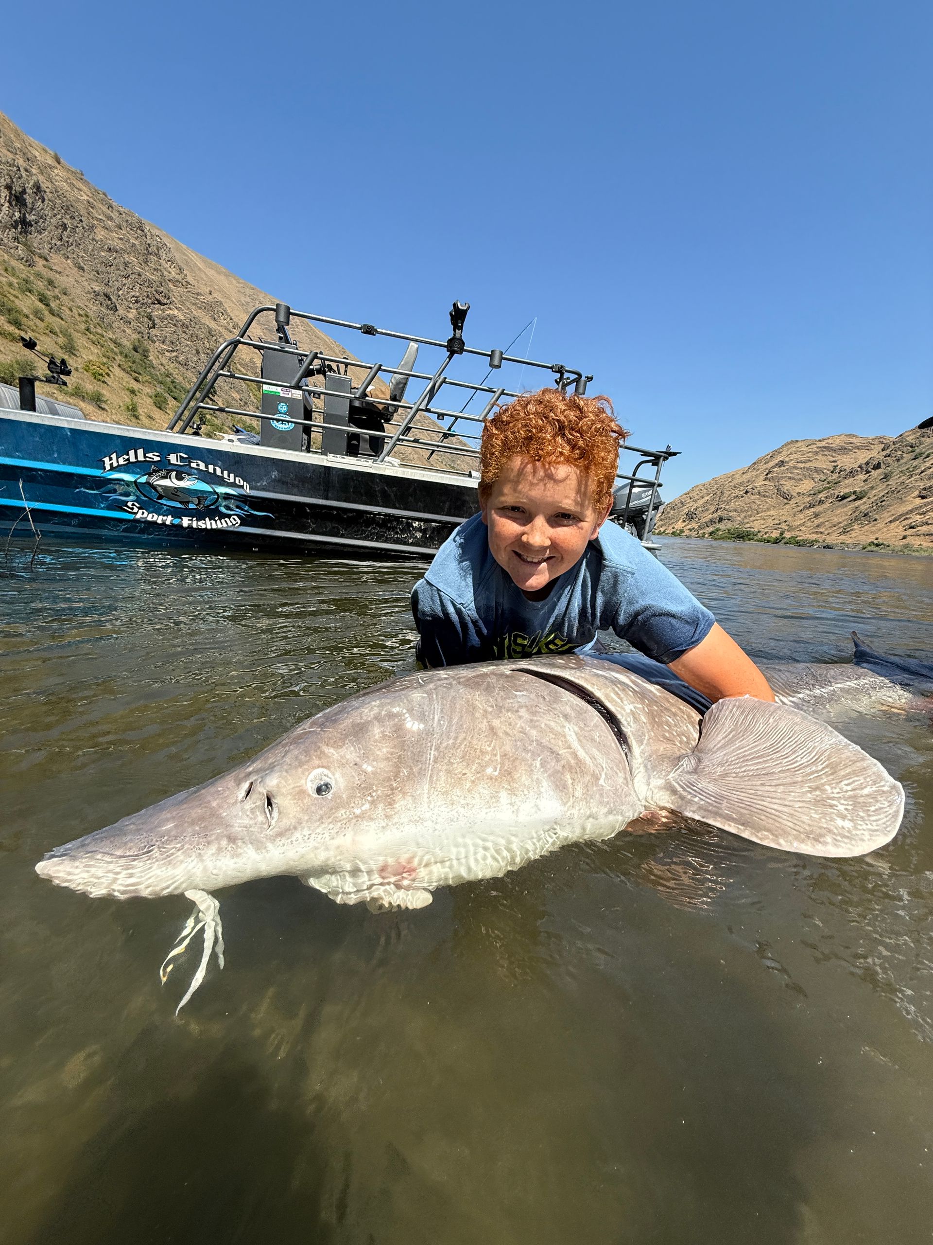 sturgeon client