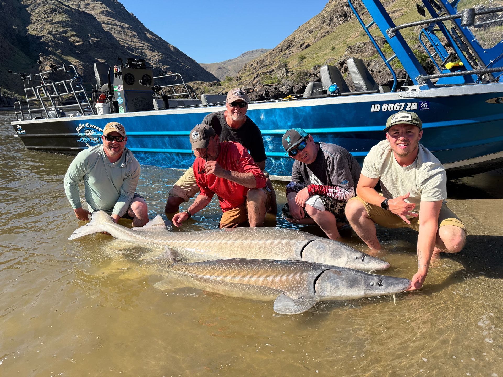 sturgeon guide