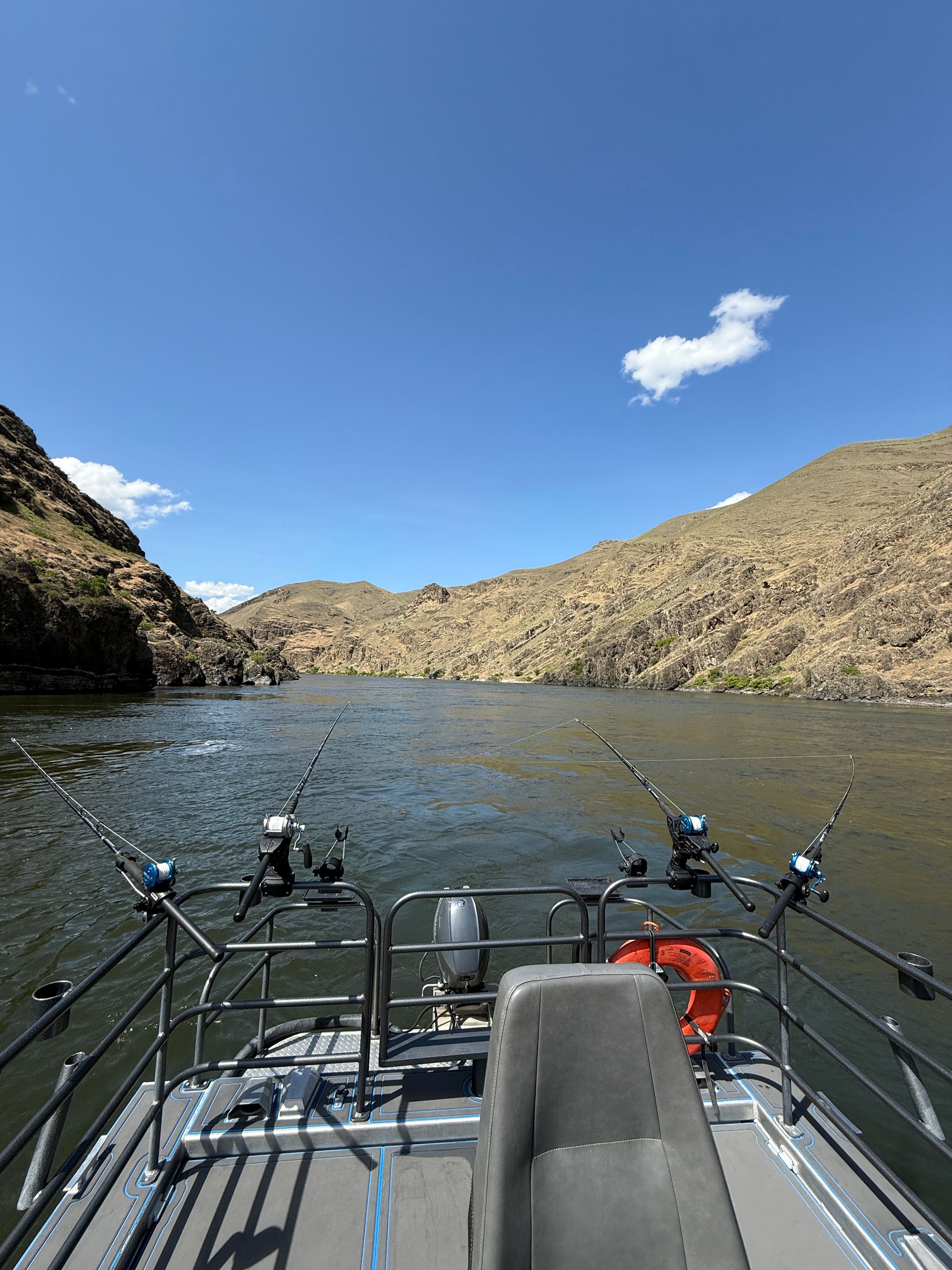 big fish in ID rivers
