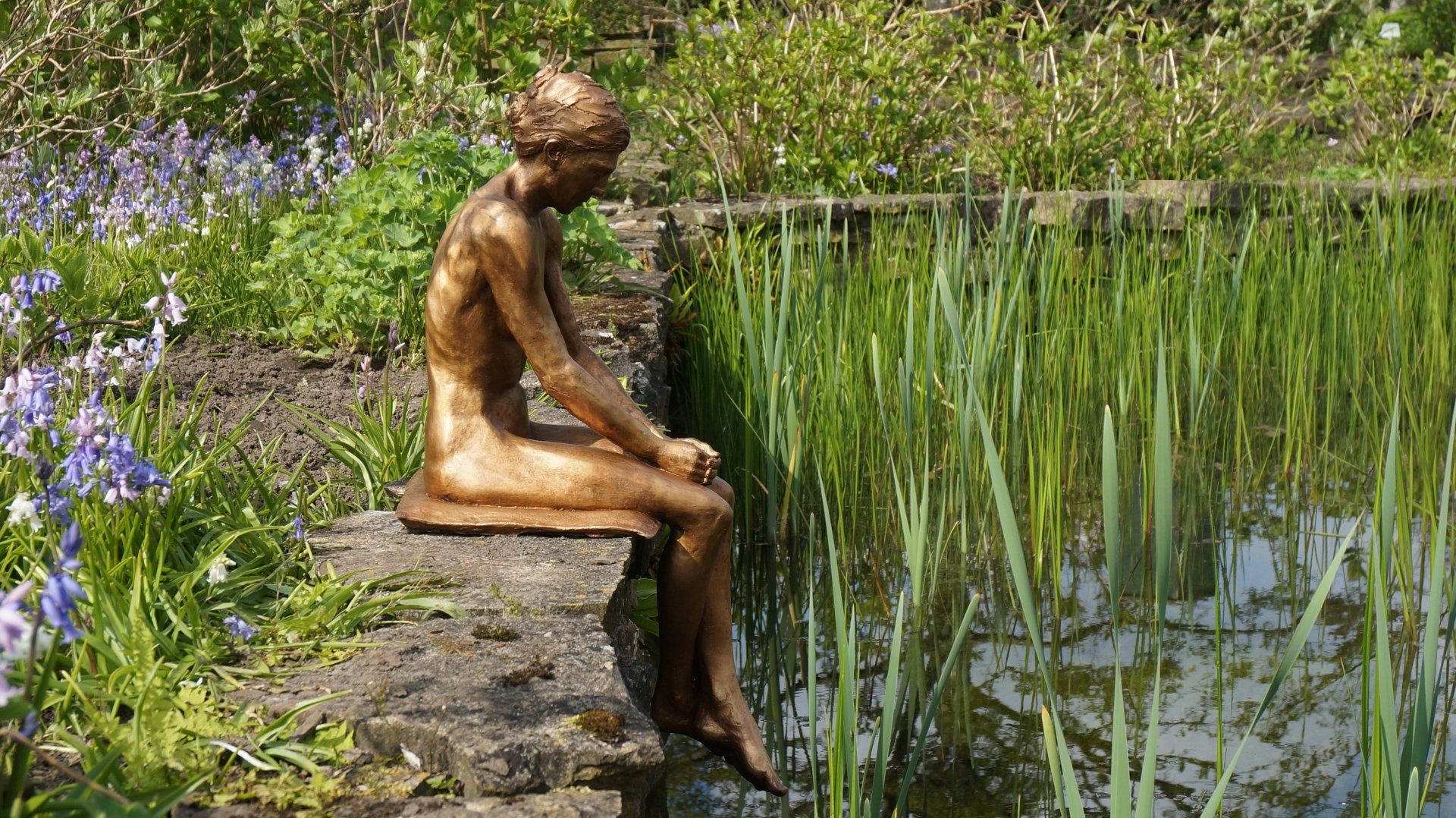 Contemplatie