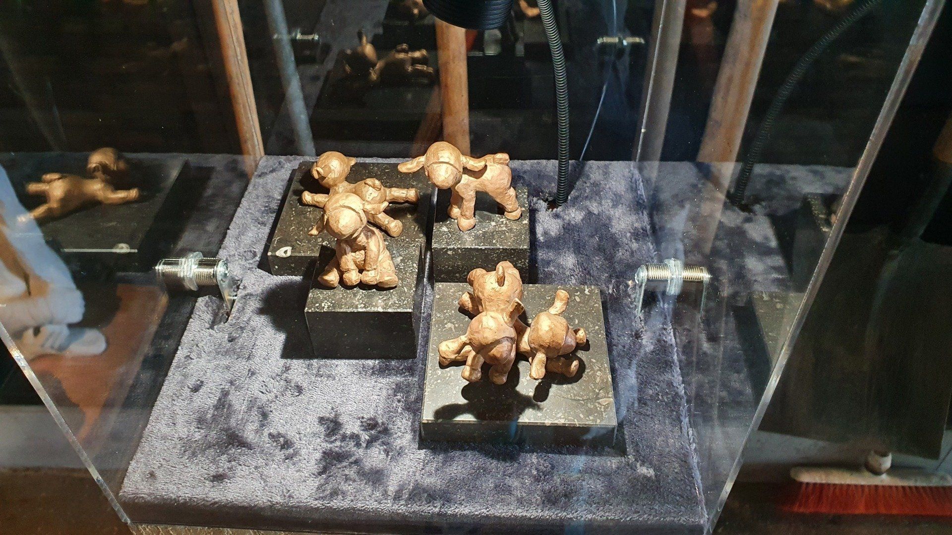 Little Lambs
