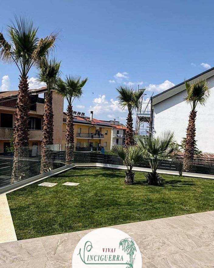 Cortile fiancheggiato da palme con prato, sentiero in pietra e palazzi residenziali sotto un cielo azzurro.