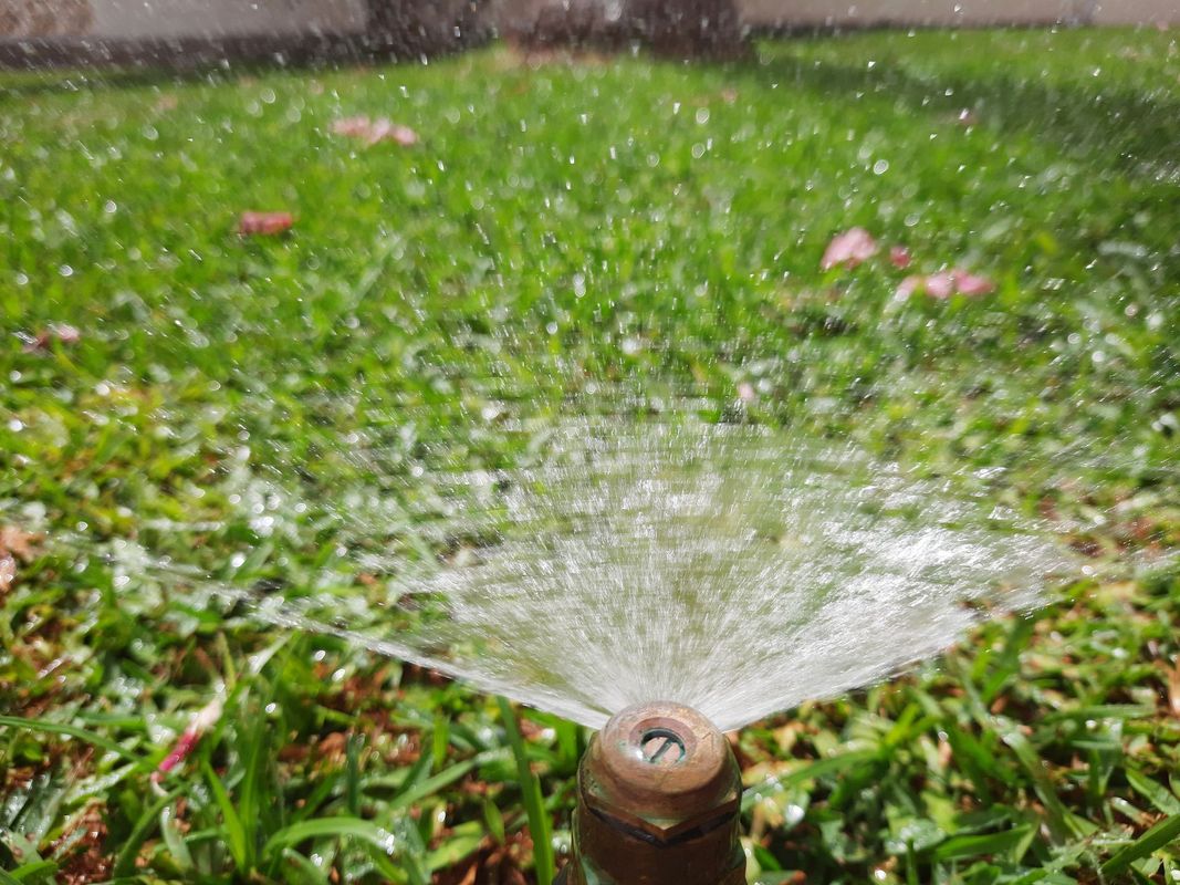 Un irrigatore spruzza acqua su un prato verde all'aperto.