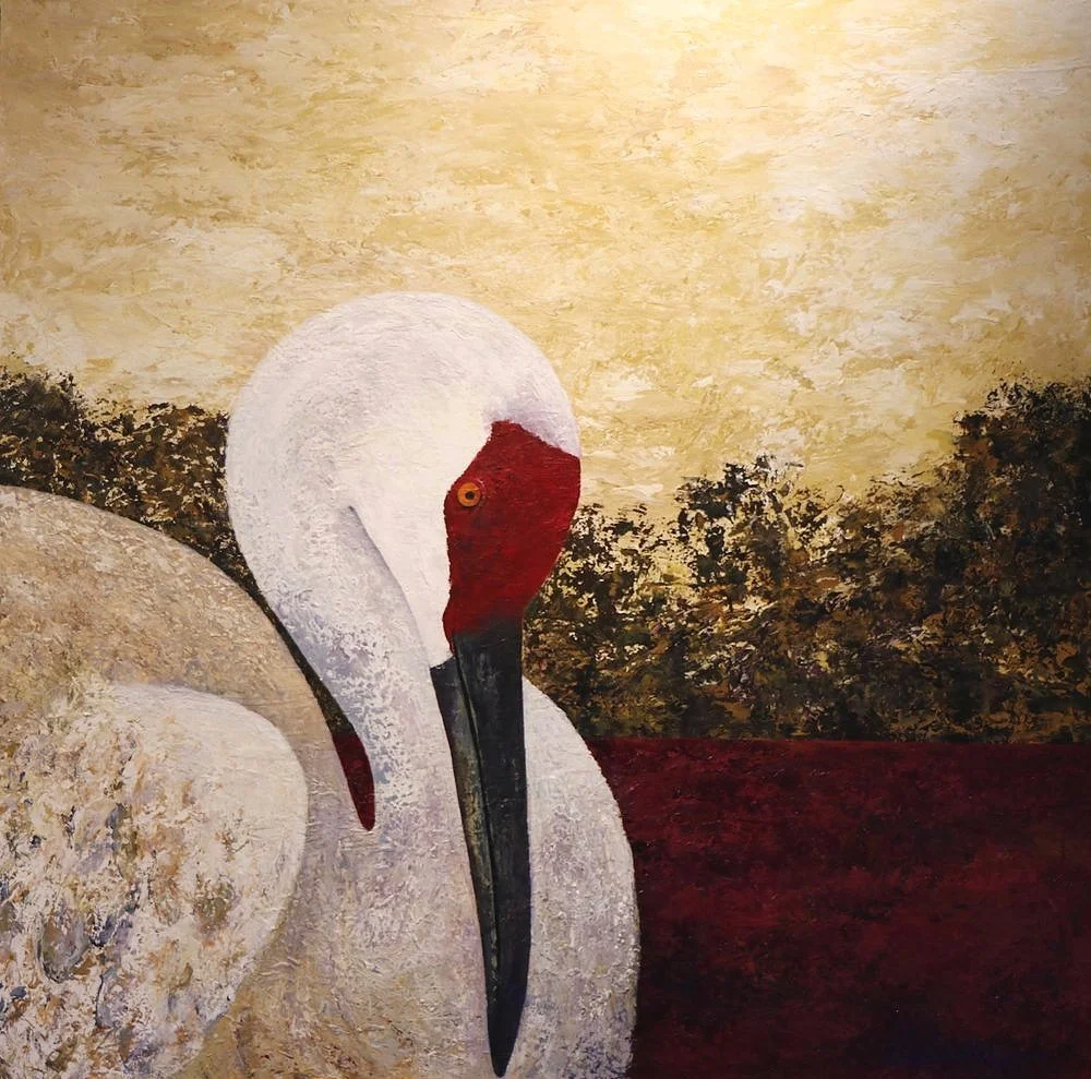 Crane with white, red, and black feathers, looking down, in a red-tinted wetland; gold sky.