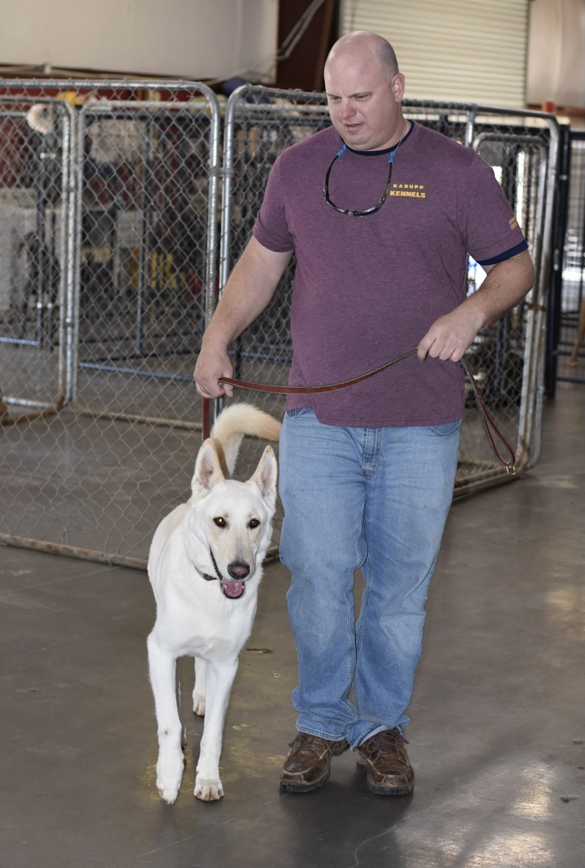 About Us, Kennels, Boarding Hickory, NC Kanupp Kennels